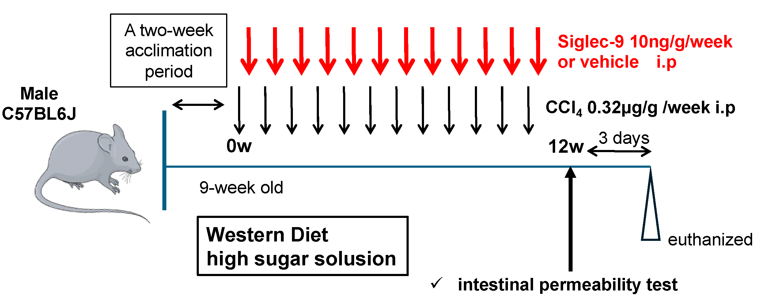 Metabolites 15 00366 g002