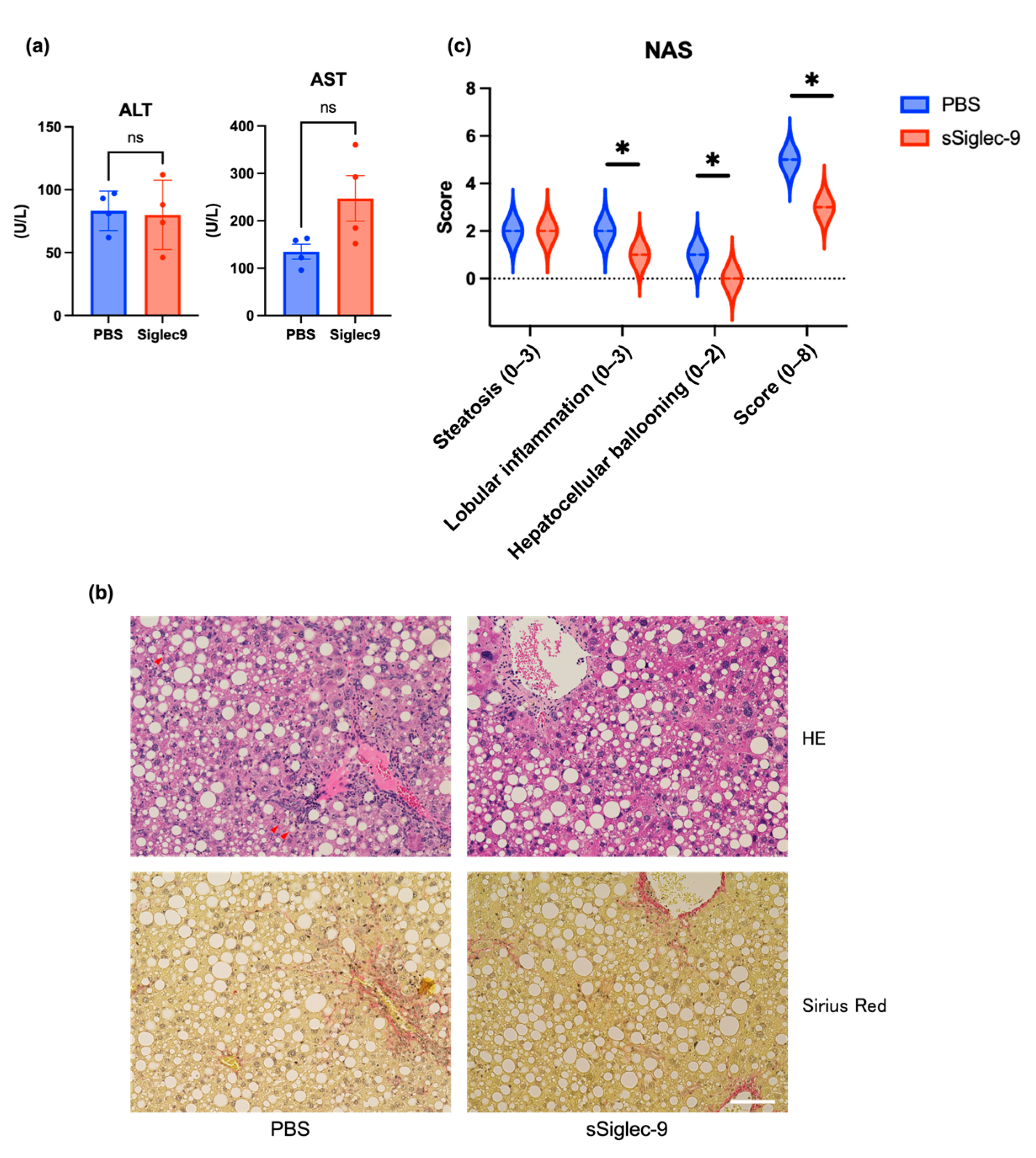 Metabolites 15 00366 g005