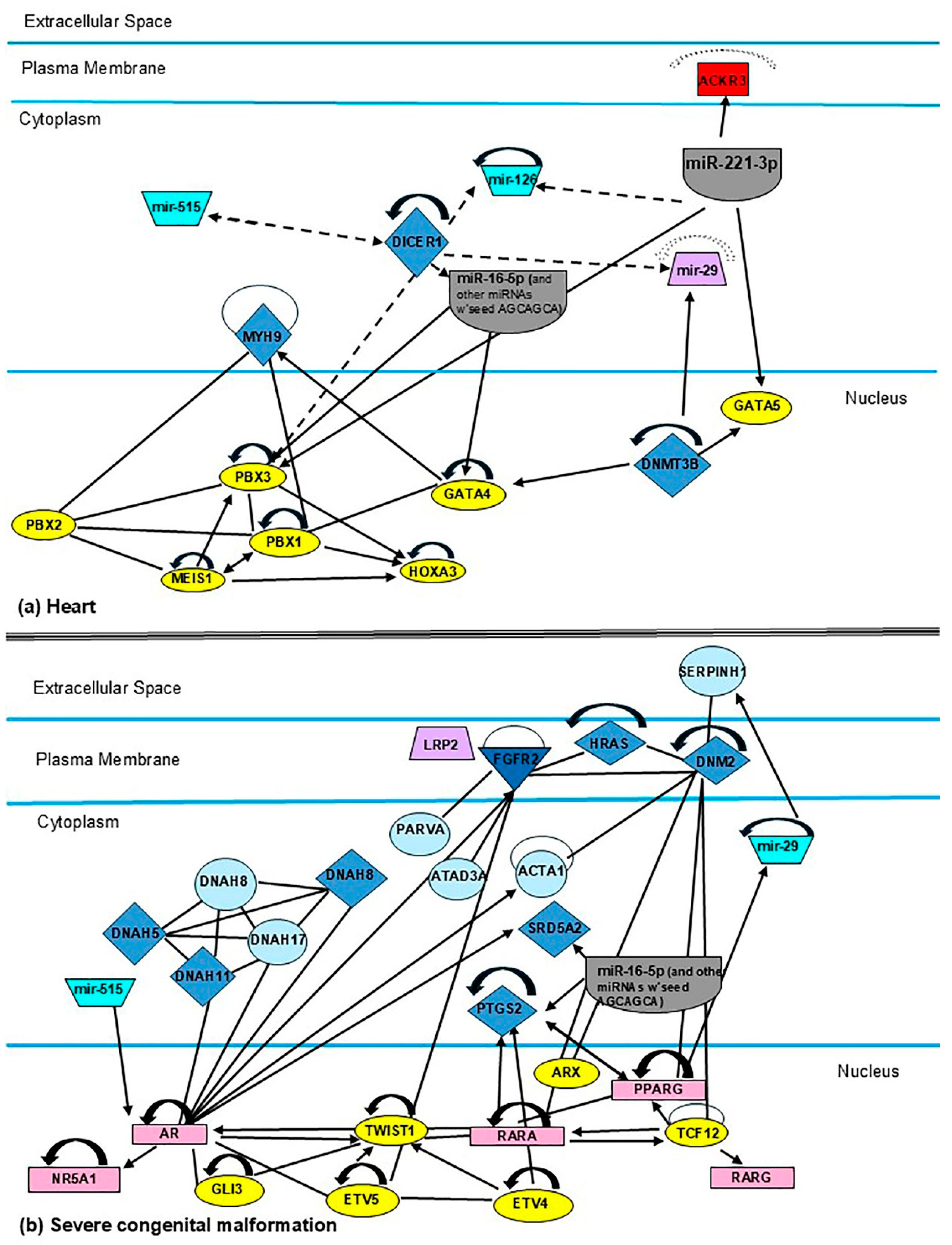 Metabolites 15 00367 g005a