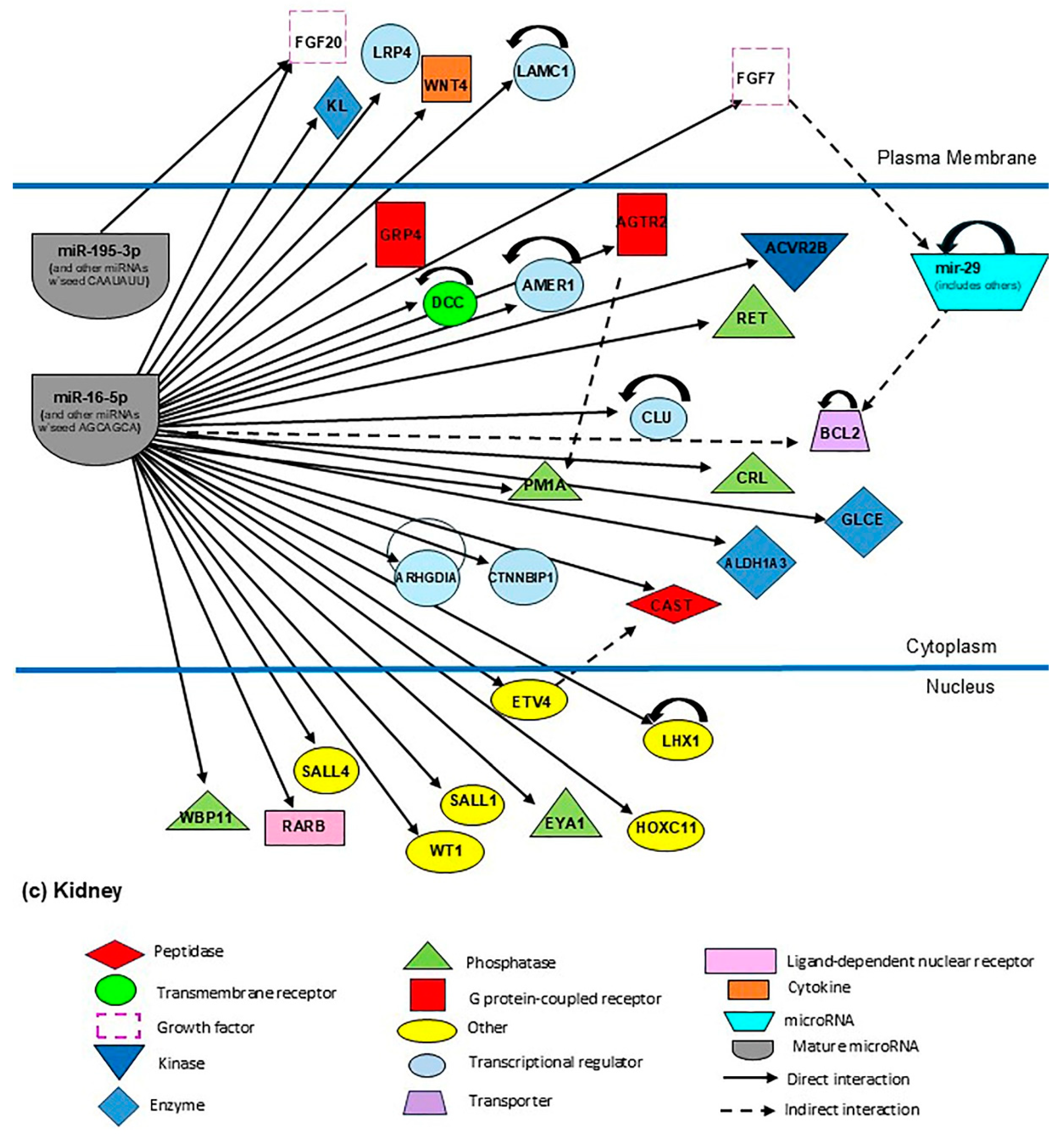Metabolites 15 00367 g005b