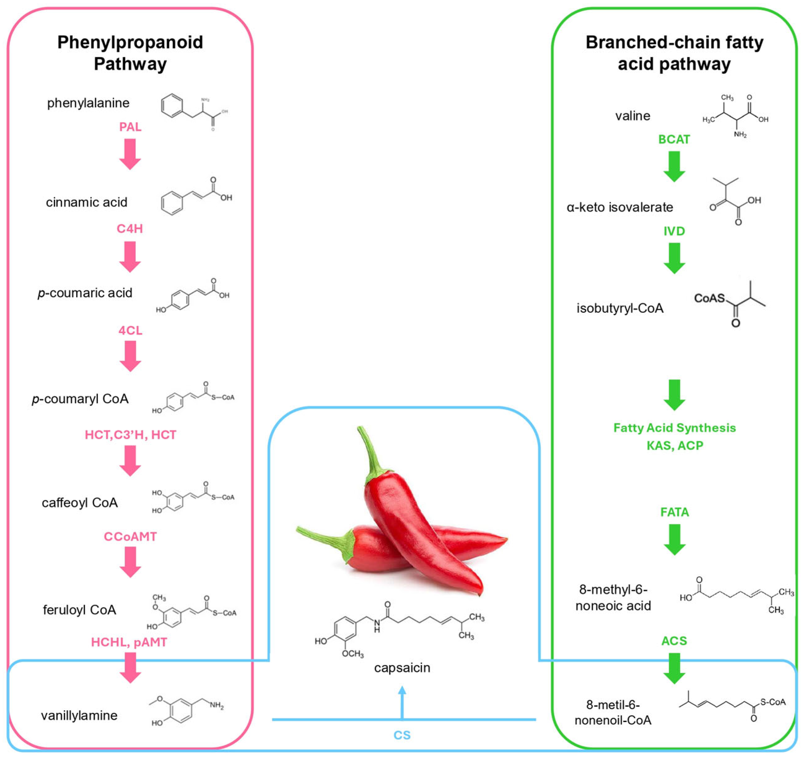 Metabolites 15 00372 g002