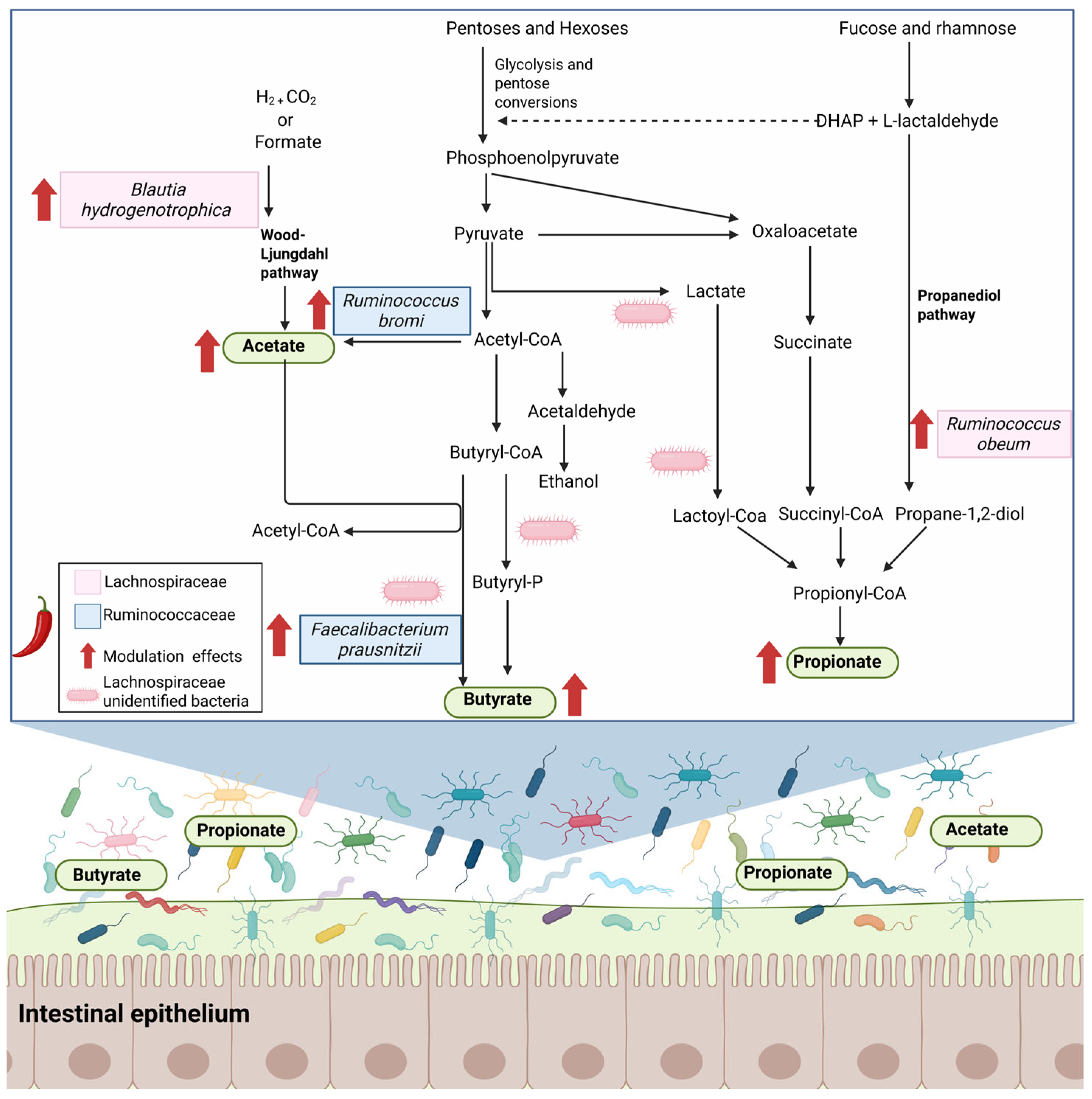 Metabolites 15 00372 g006