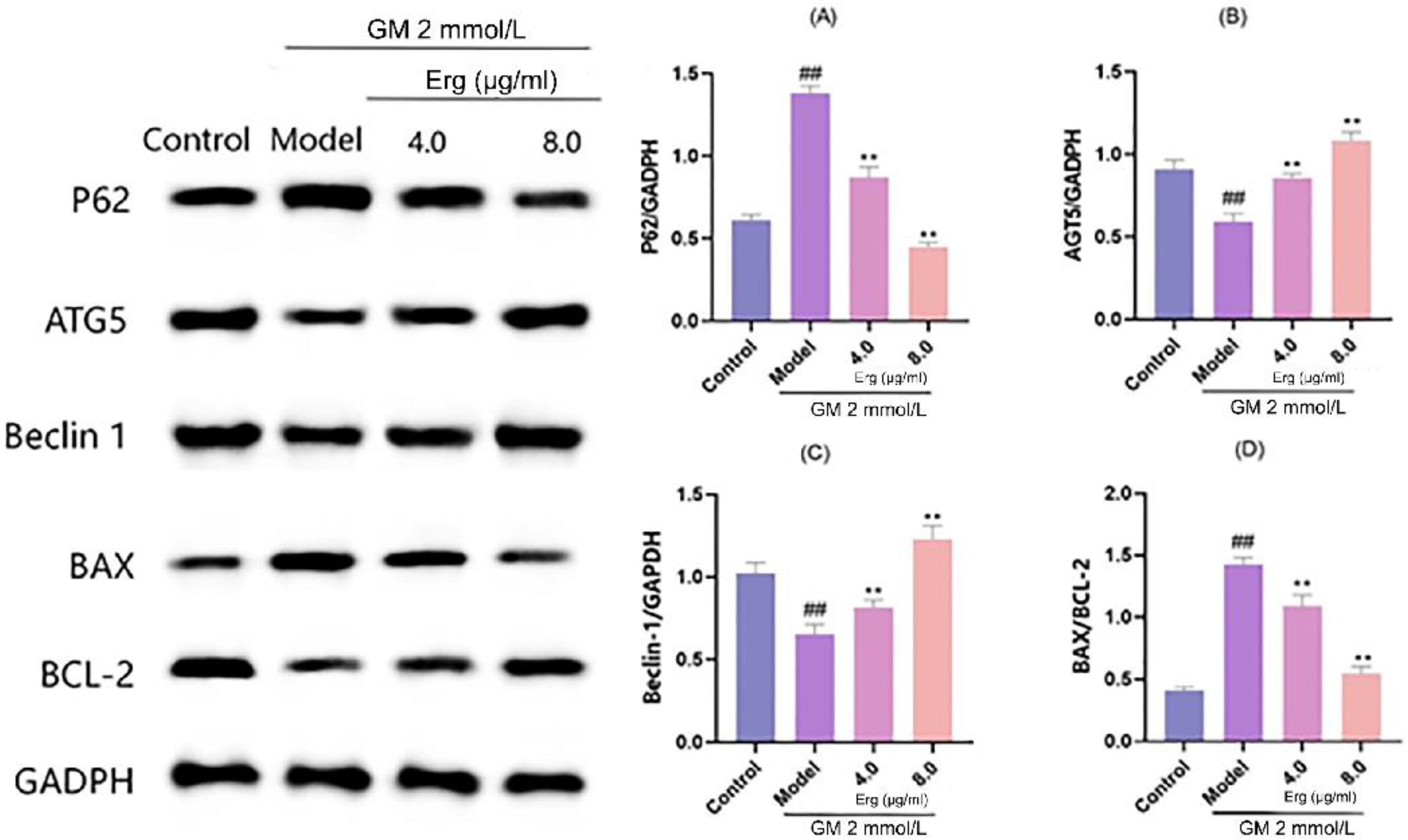 Metabolites 15 00373 g005
