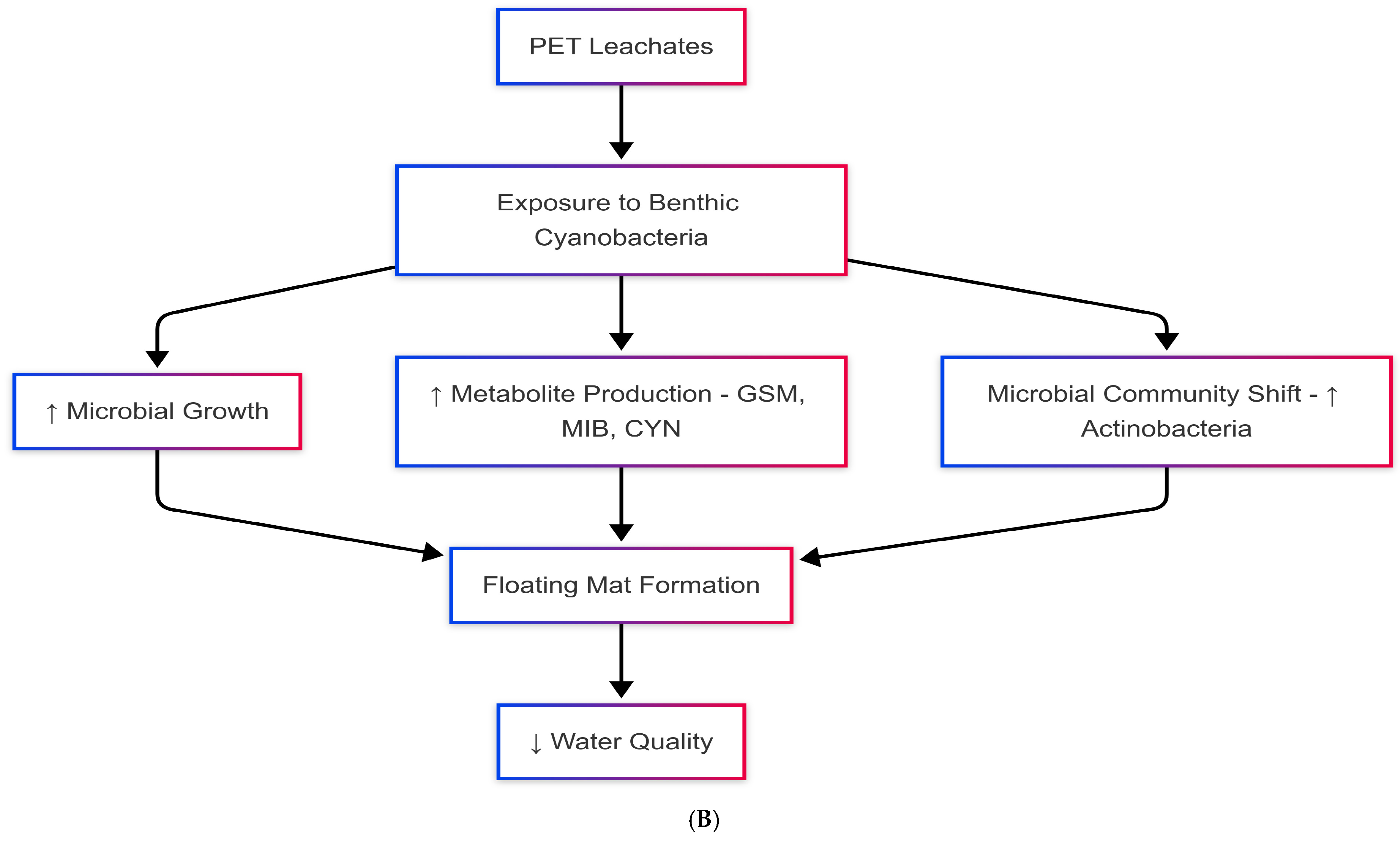 Metabolites 15 00383 g001b