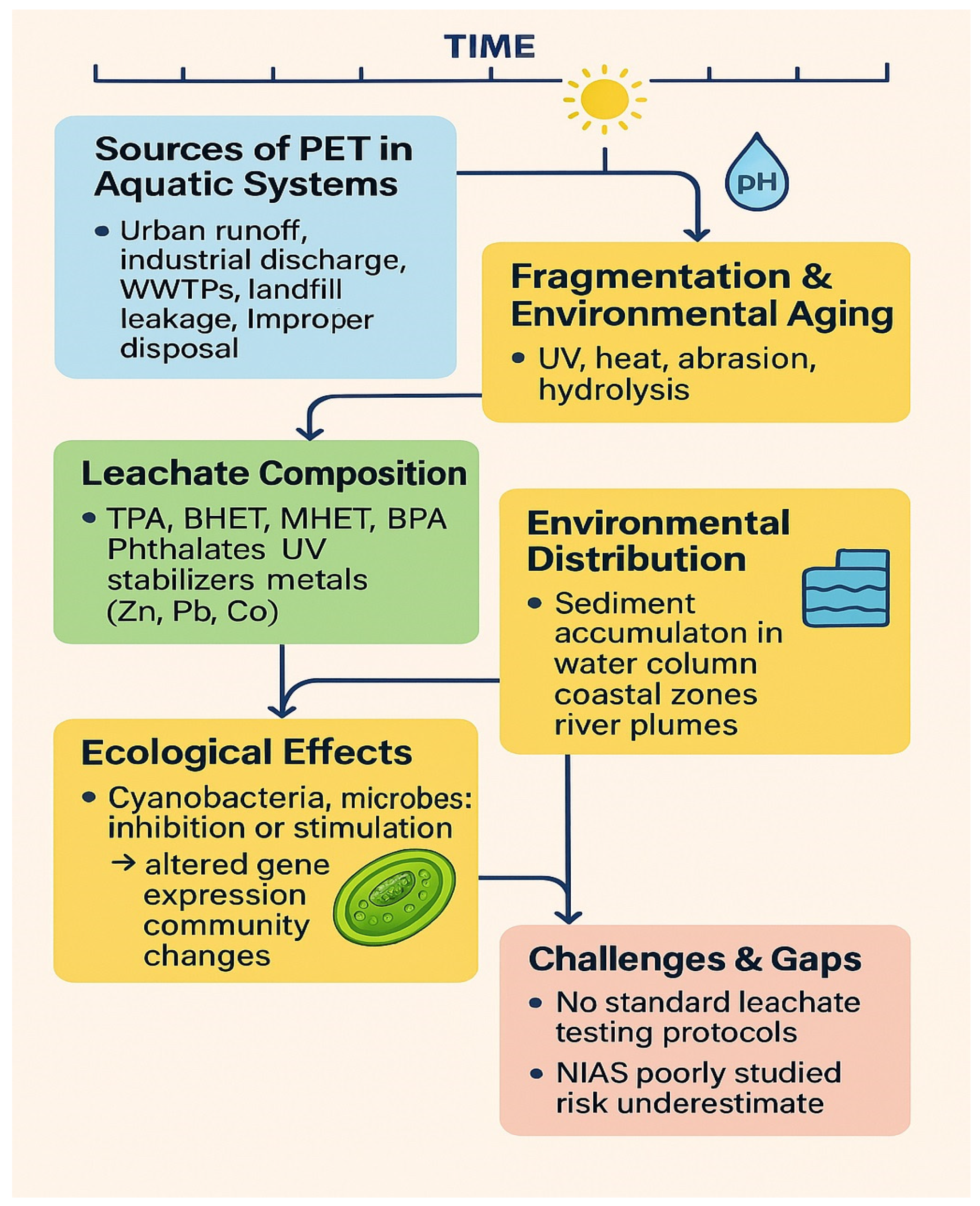 Metabolites 15 00383 g002