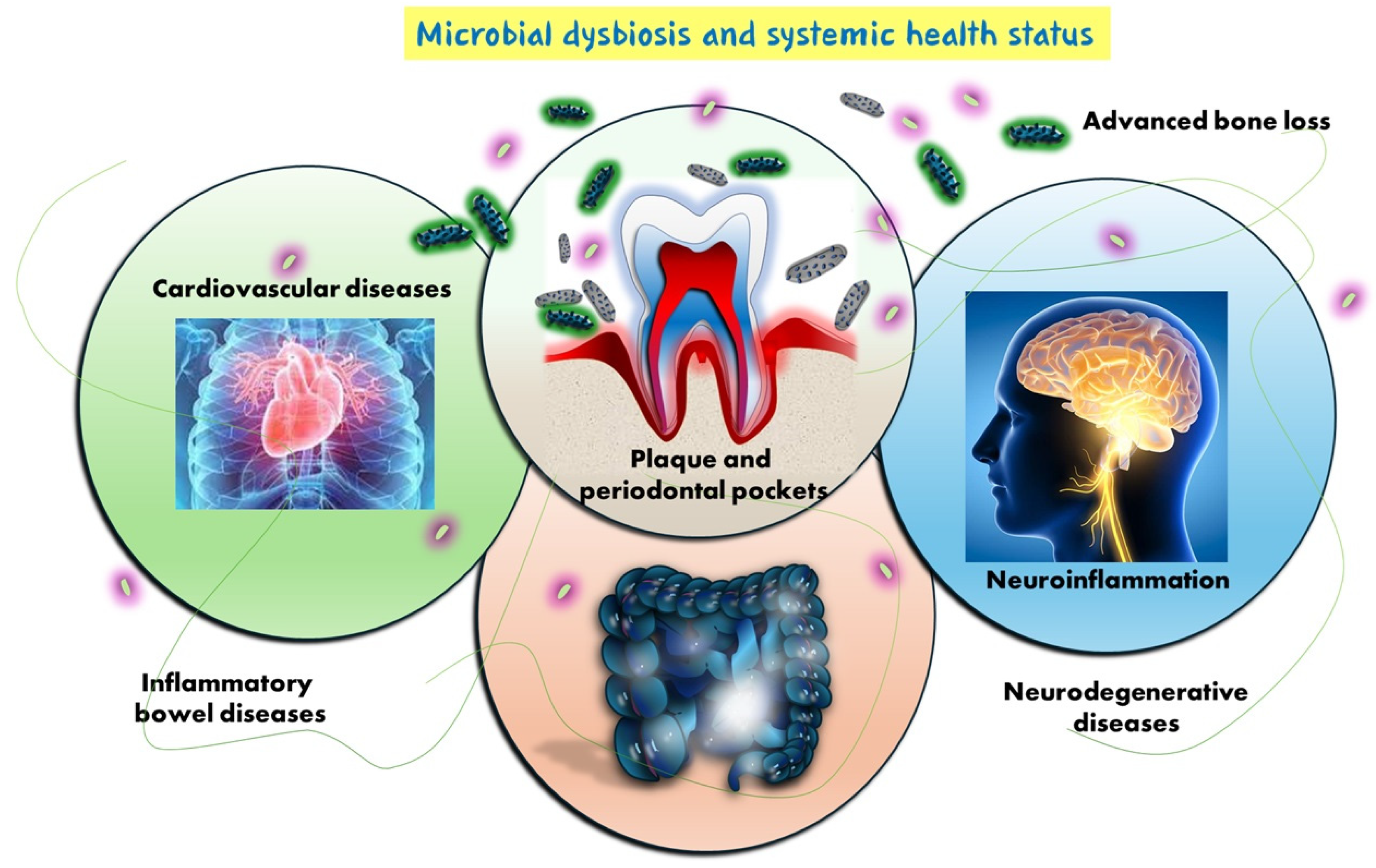 Metabolites 15 00389 g001