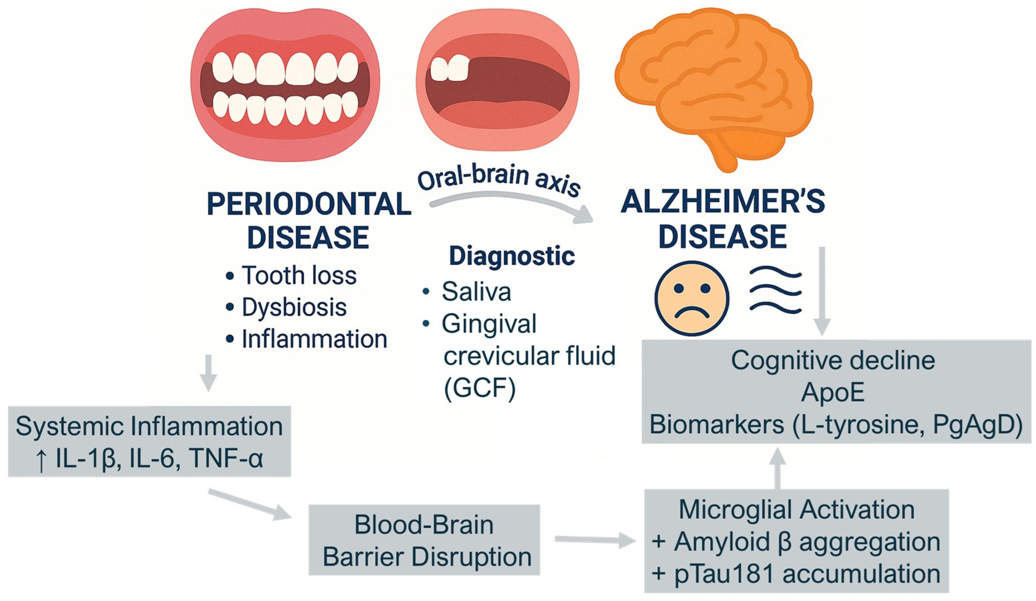 Metabolites 15 00389 g002