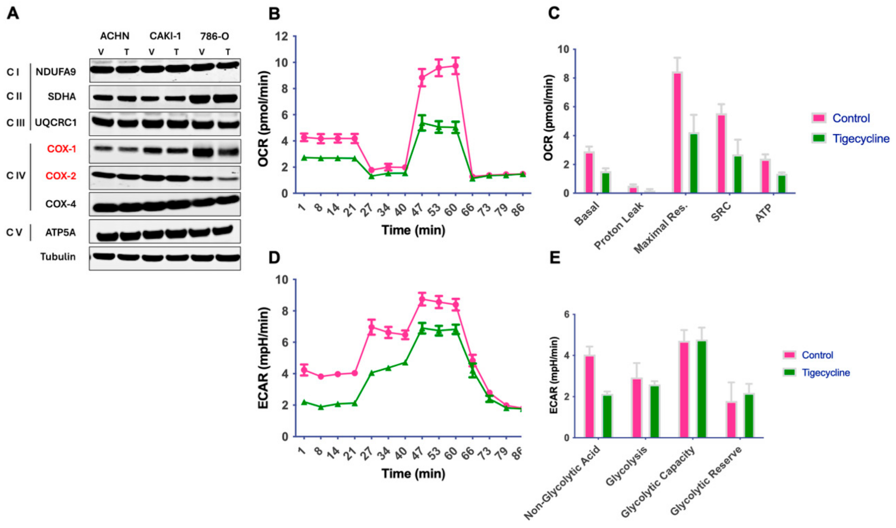 Metabolites 15 00393 g001 Metabolites 15 00393 g001