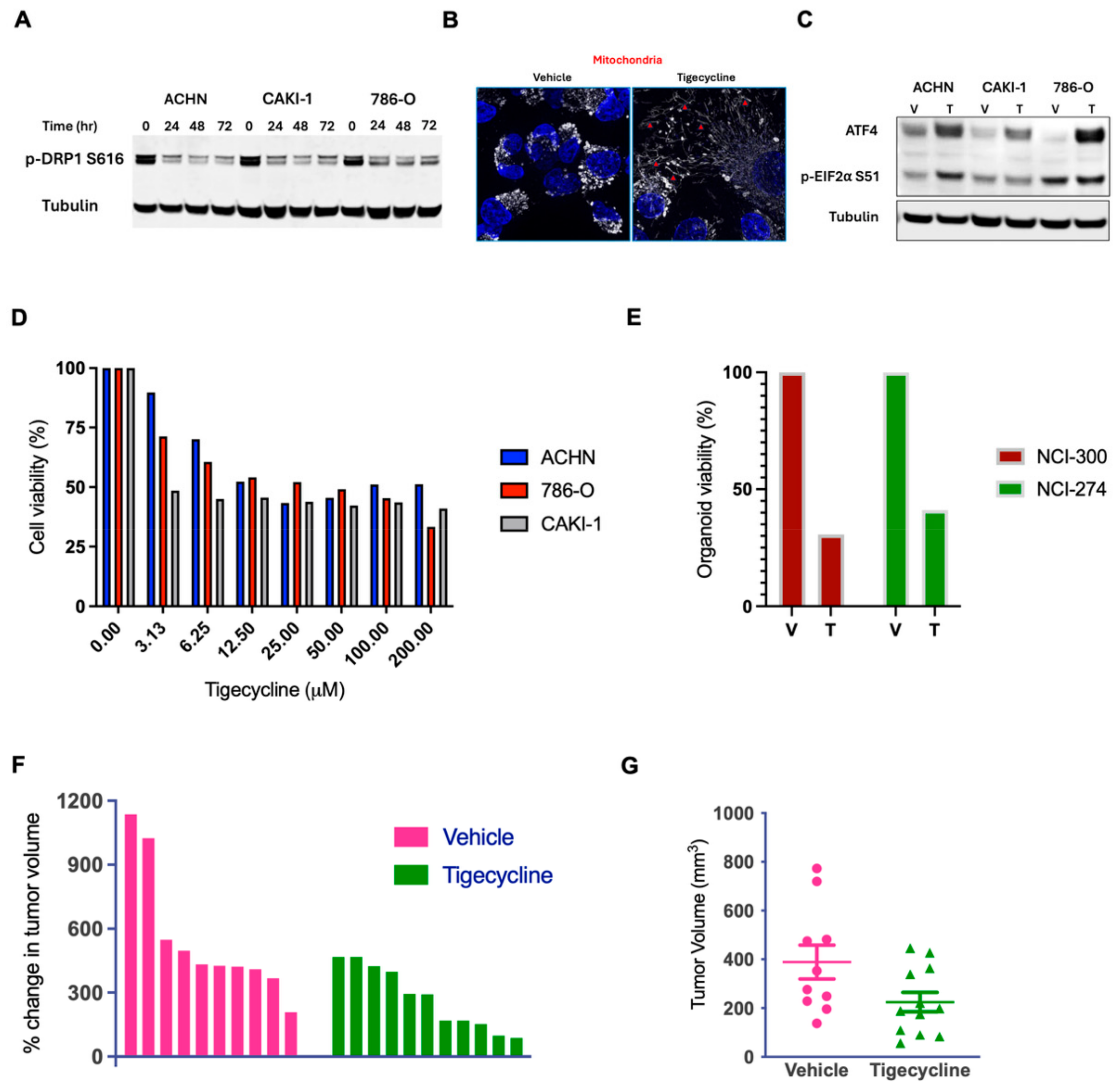 Metabolites 15 00393 g003 Metabolites 15 00393 g003