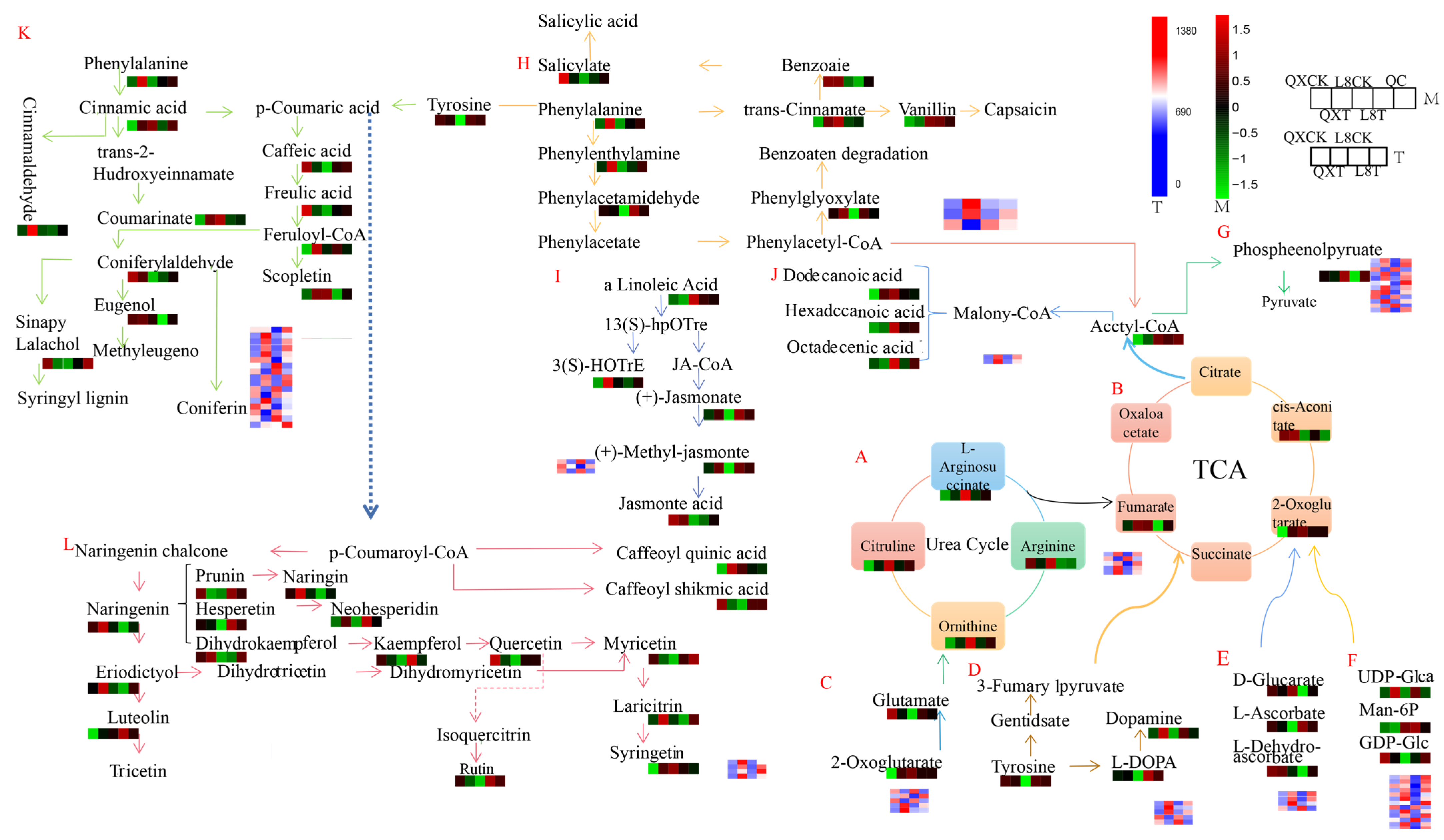 Metabolites 15 00394 g010