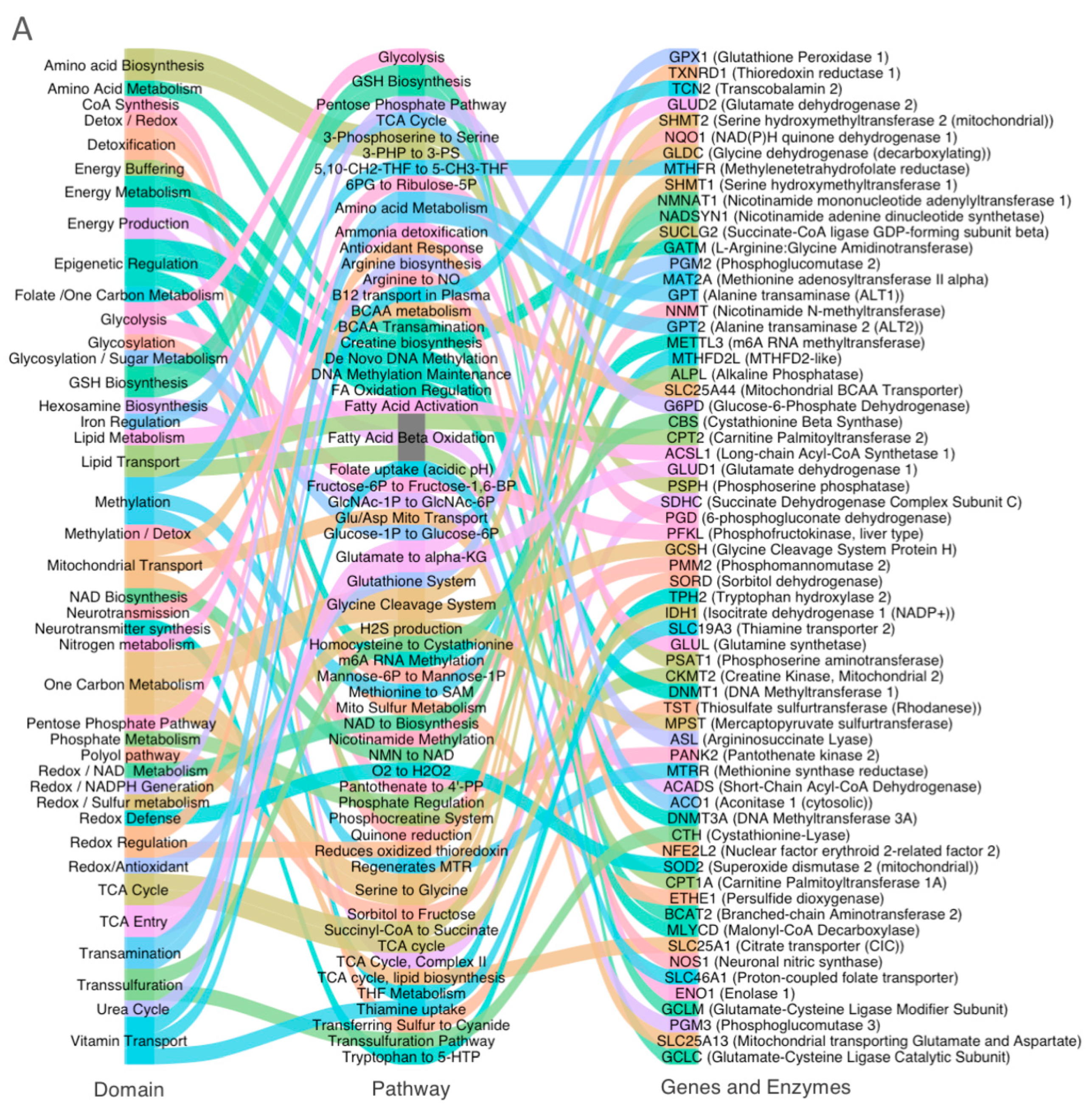 Metabolites 15 00399 g001a