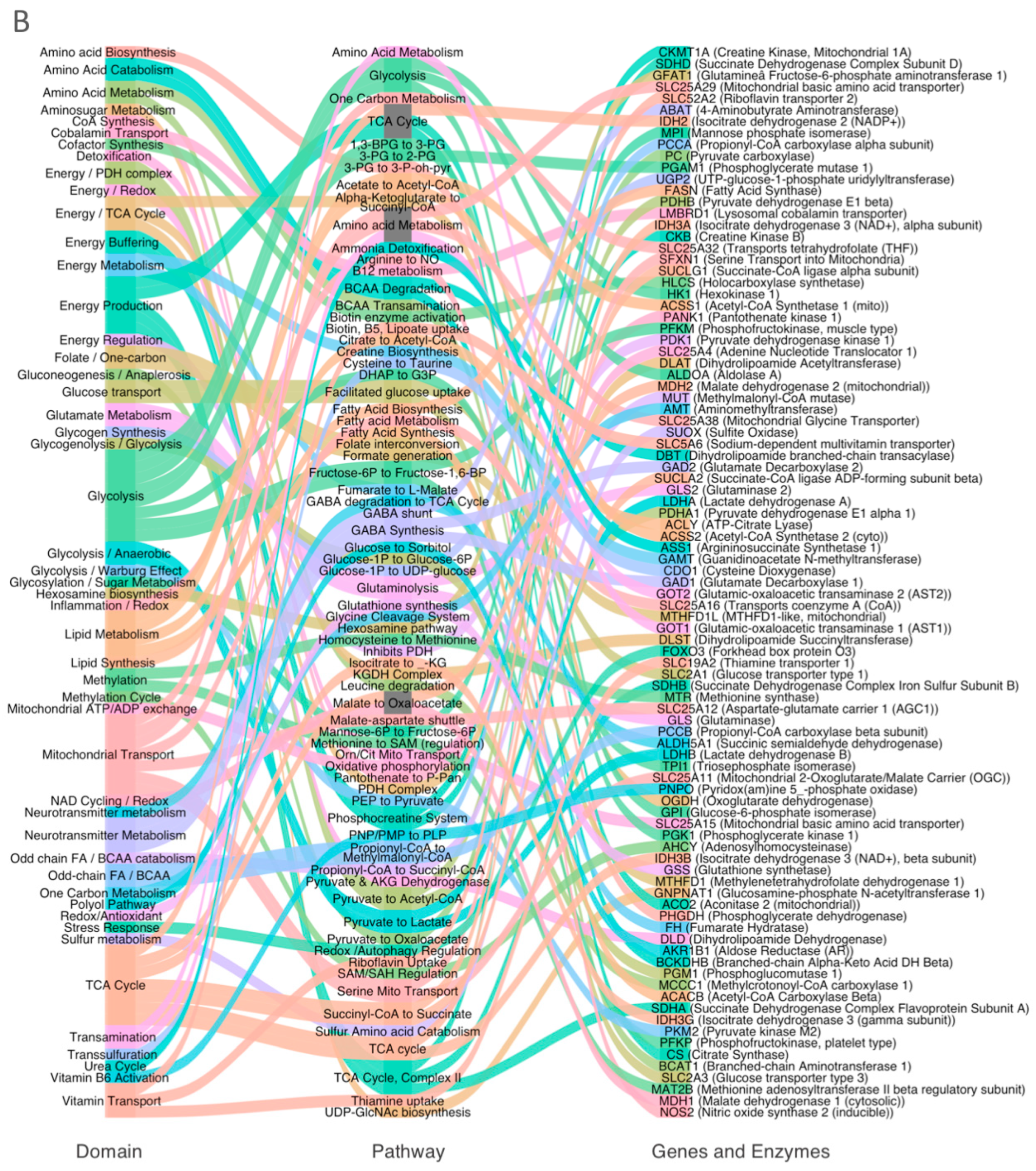 Metabolites 15 00399 g001b