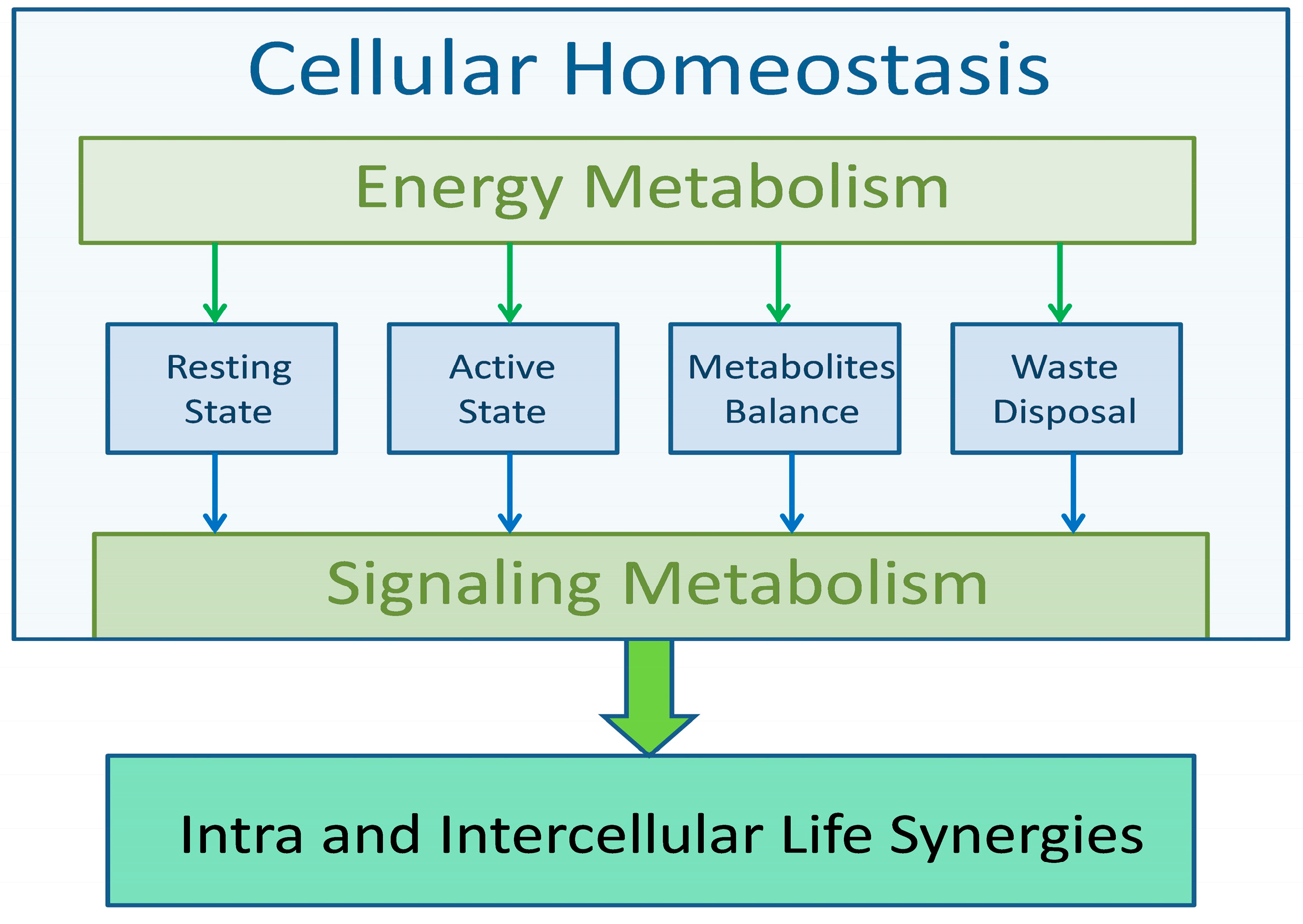 Metabolites 15 00404 g001