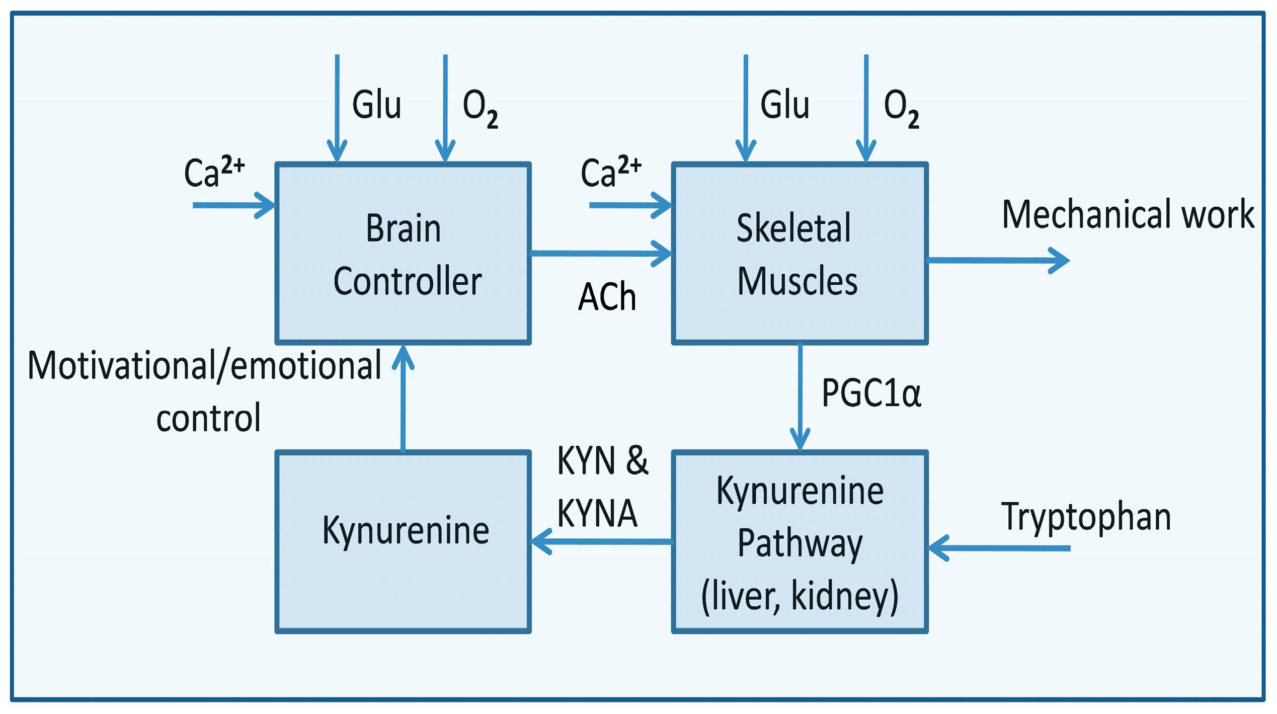 Metabolites 15 00404 g002