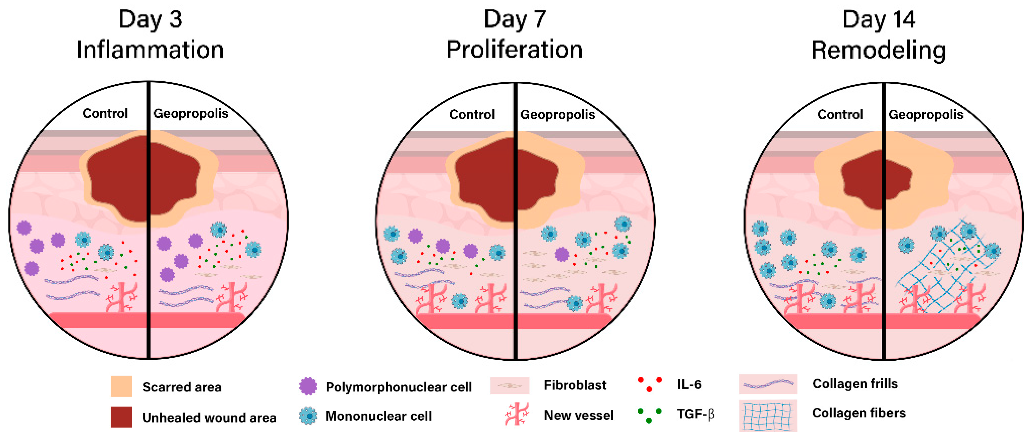 Metabolites 15 00413 g004