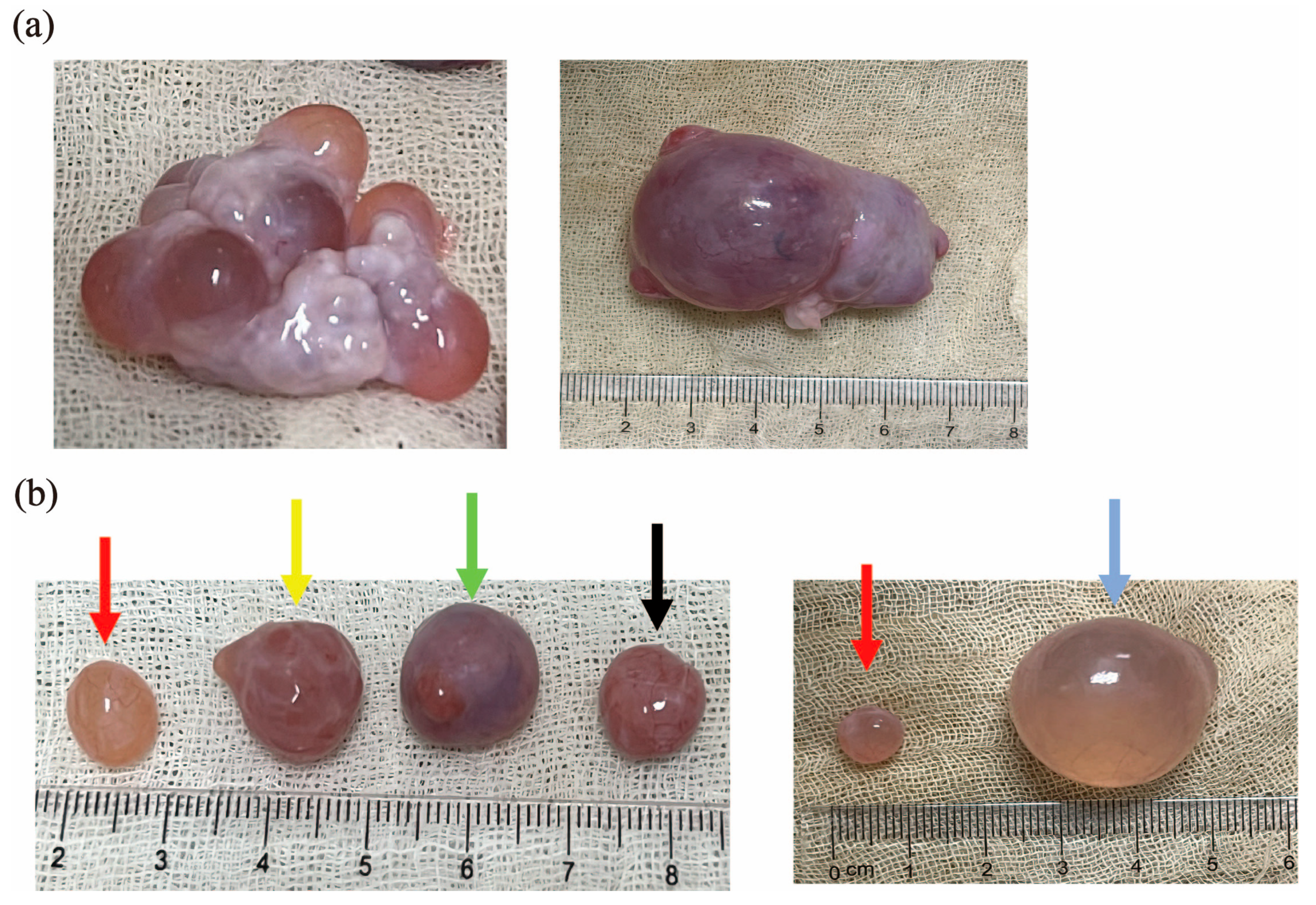 Metabolites 15 00421 g001
