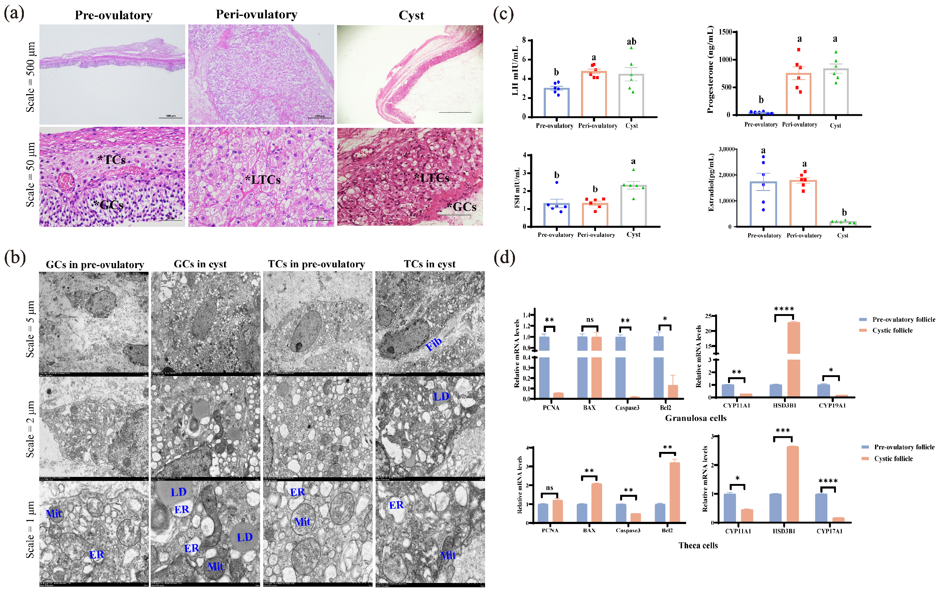 Metabolites 15 00421 g002