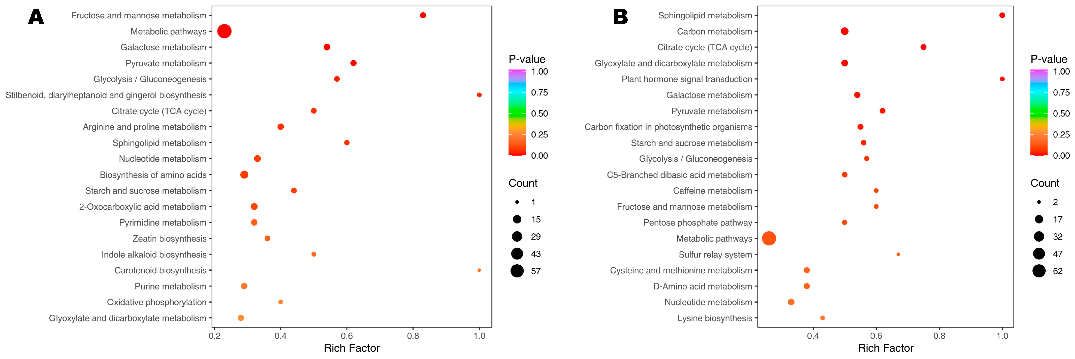 Metabolites 15 00430 g005