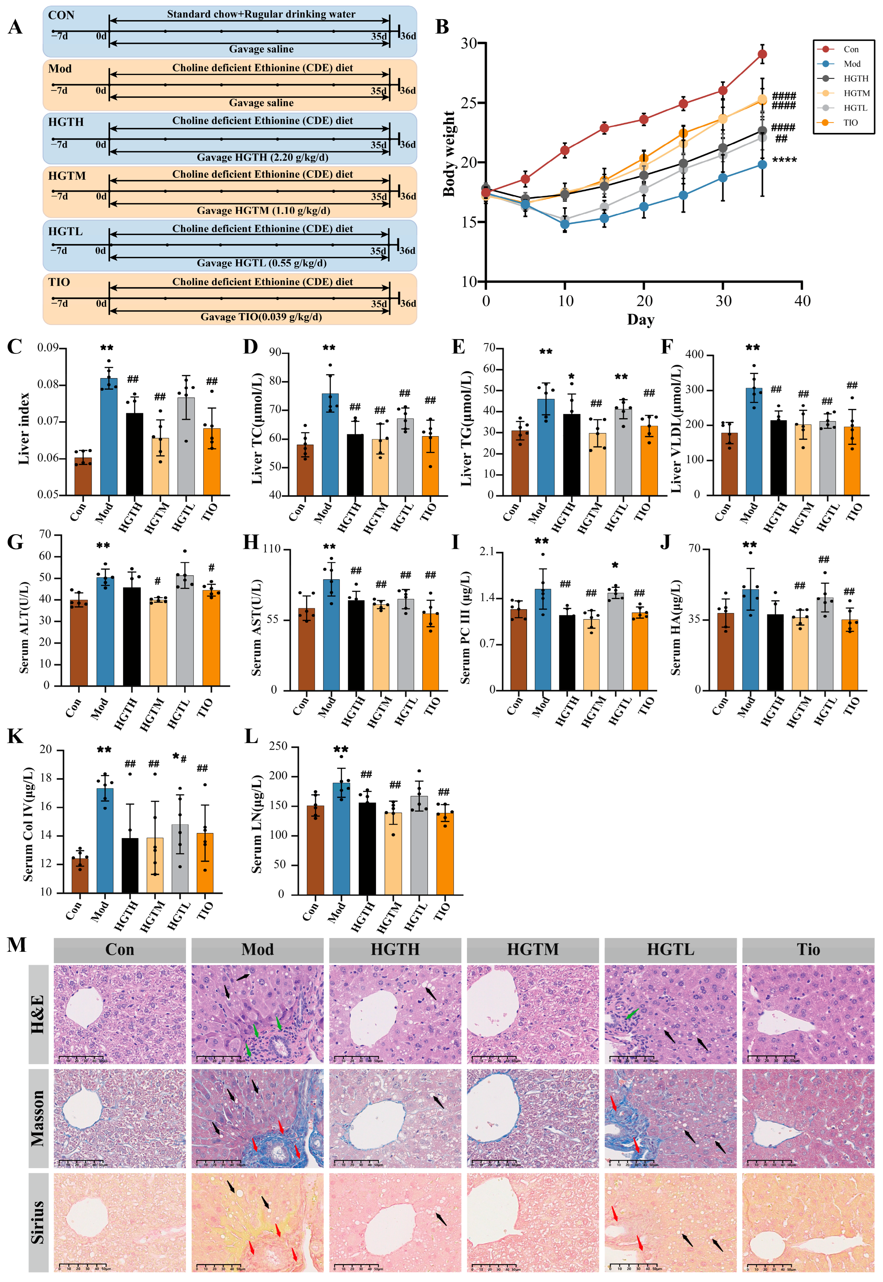 Metabolites 15 00433 g001