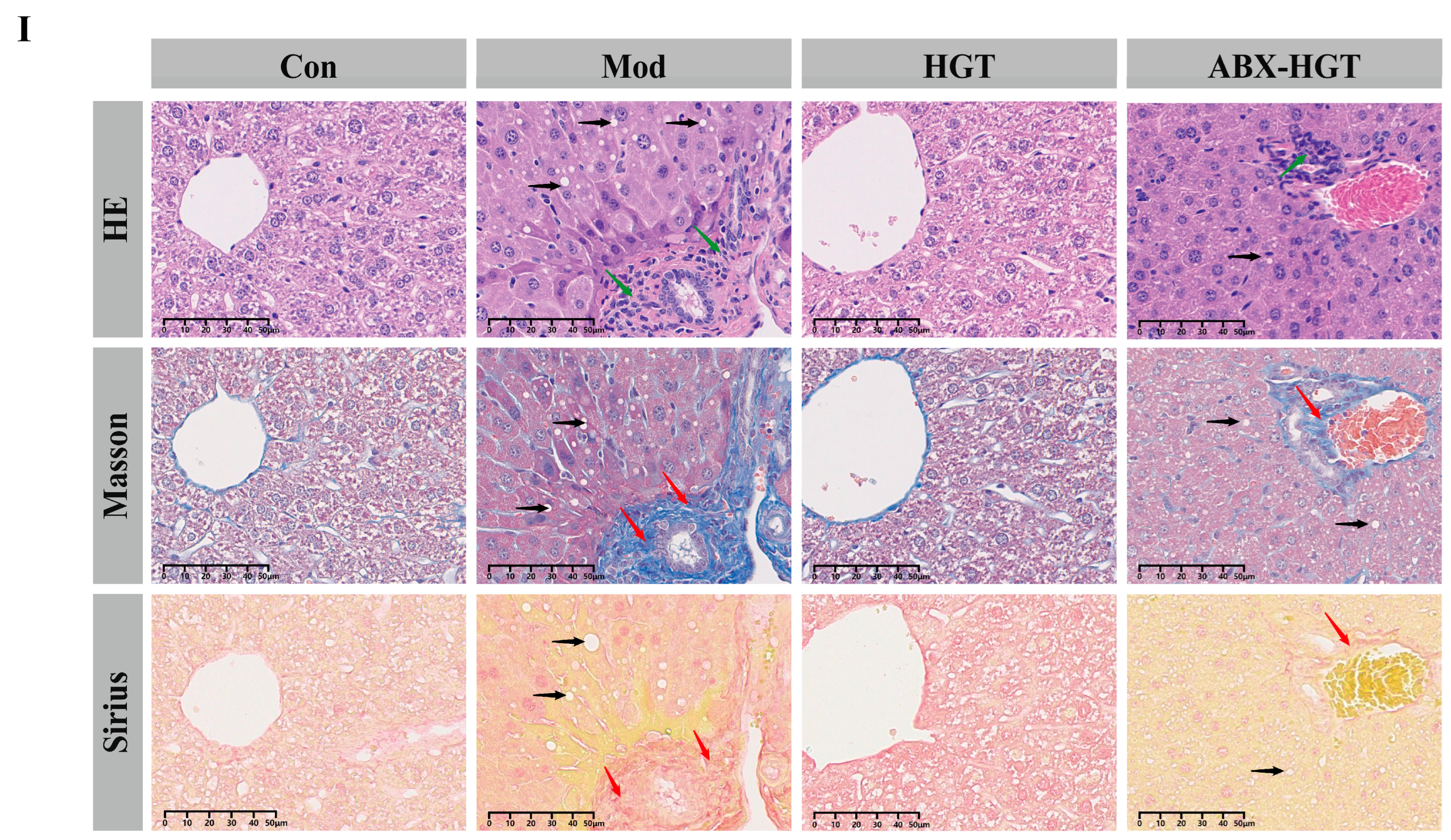 Metabolites 15 00433 g003b