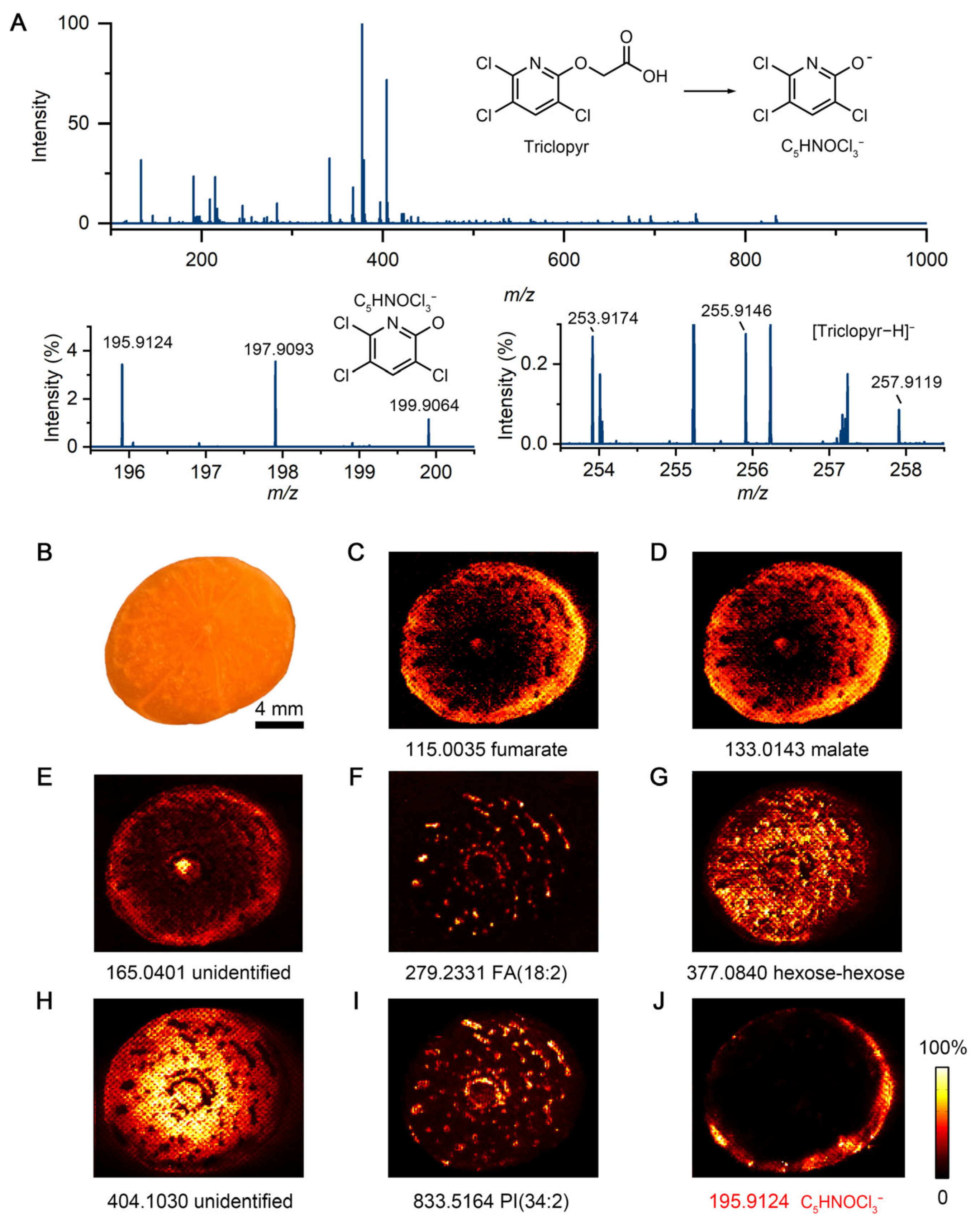 Metabolites 15 00437 g001