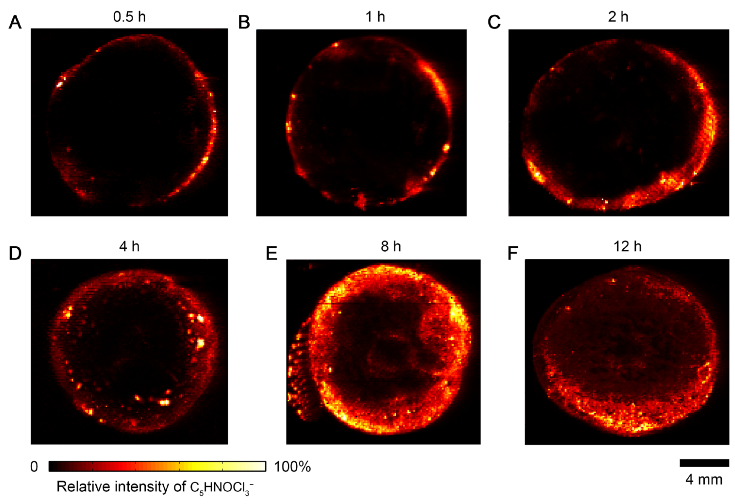 Metabolites 15 00437 g002