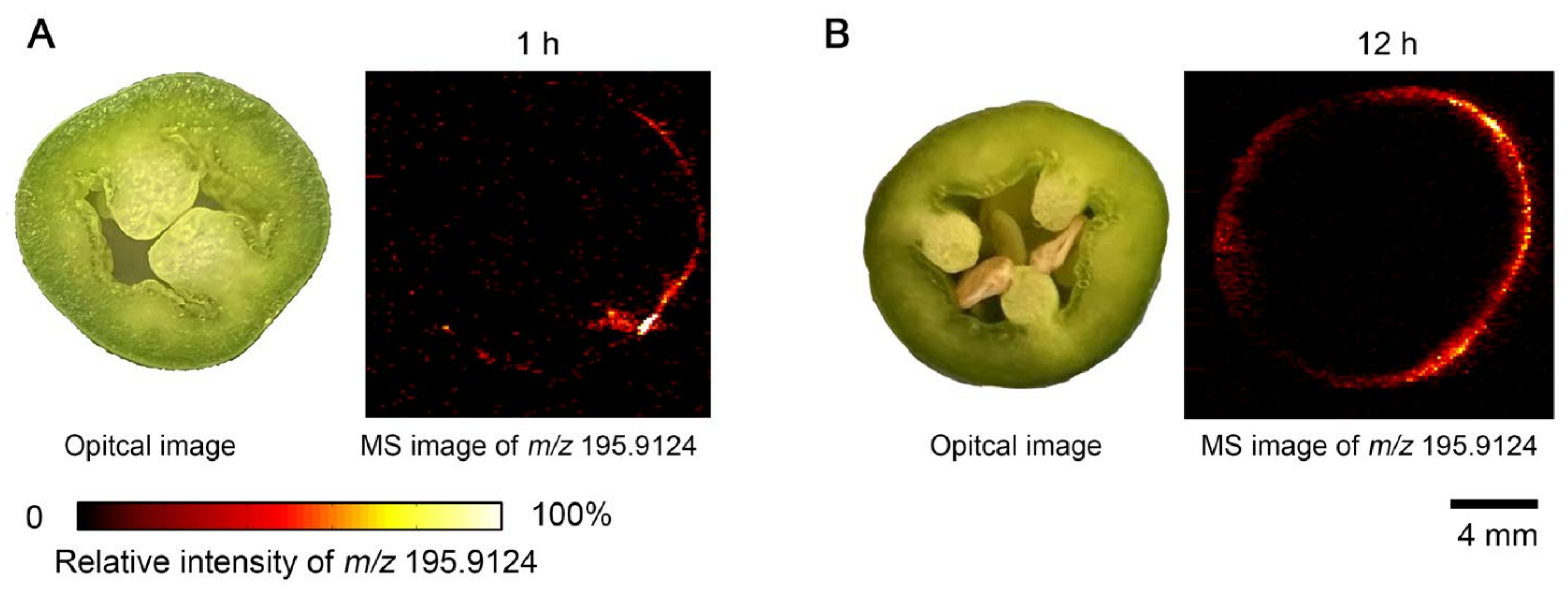 Metabolites 15 00437 g004