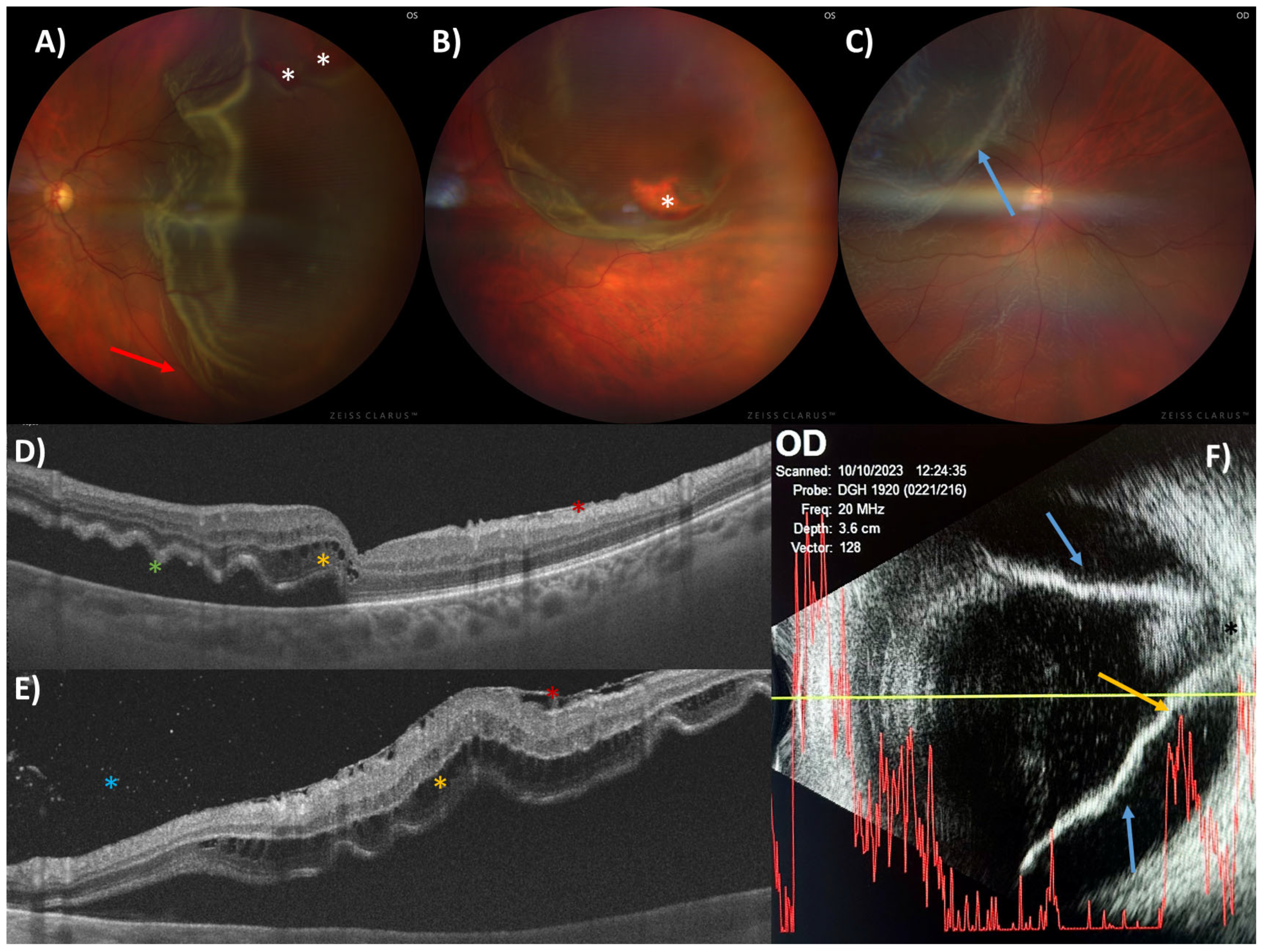 Metabolites 15 00442 g001