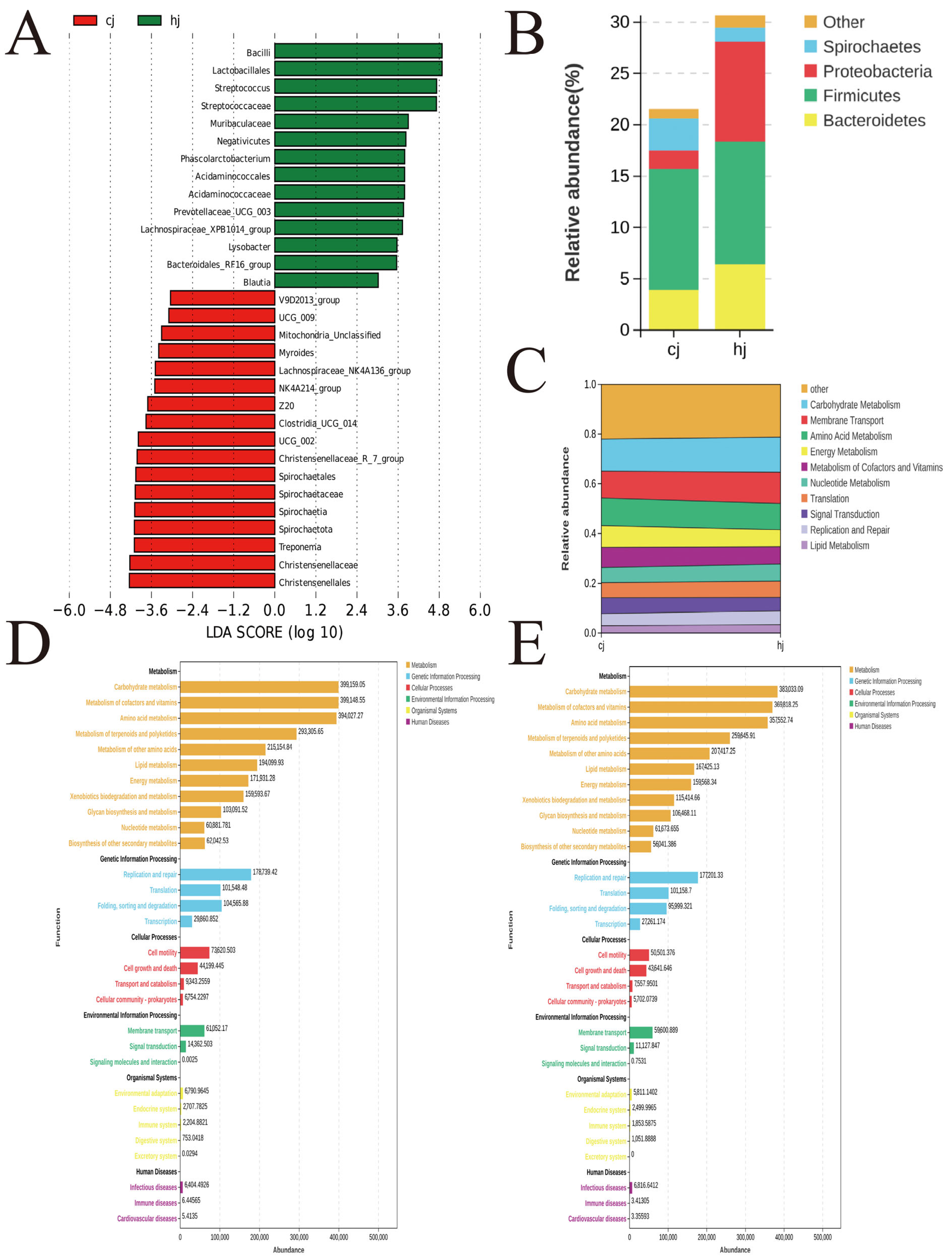 Metabolites 15 00447 g002