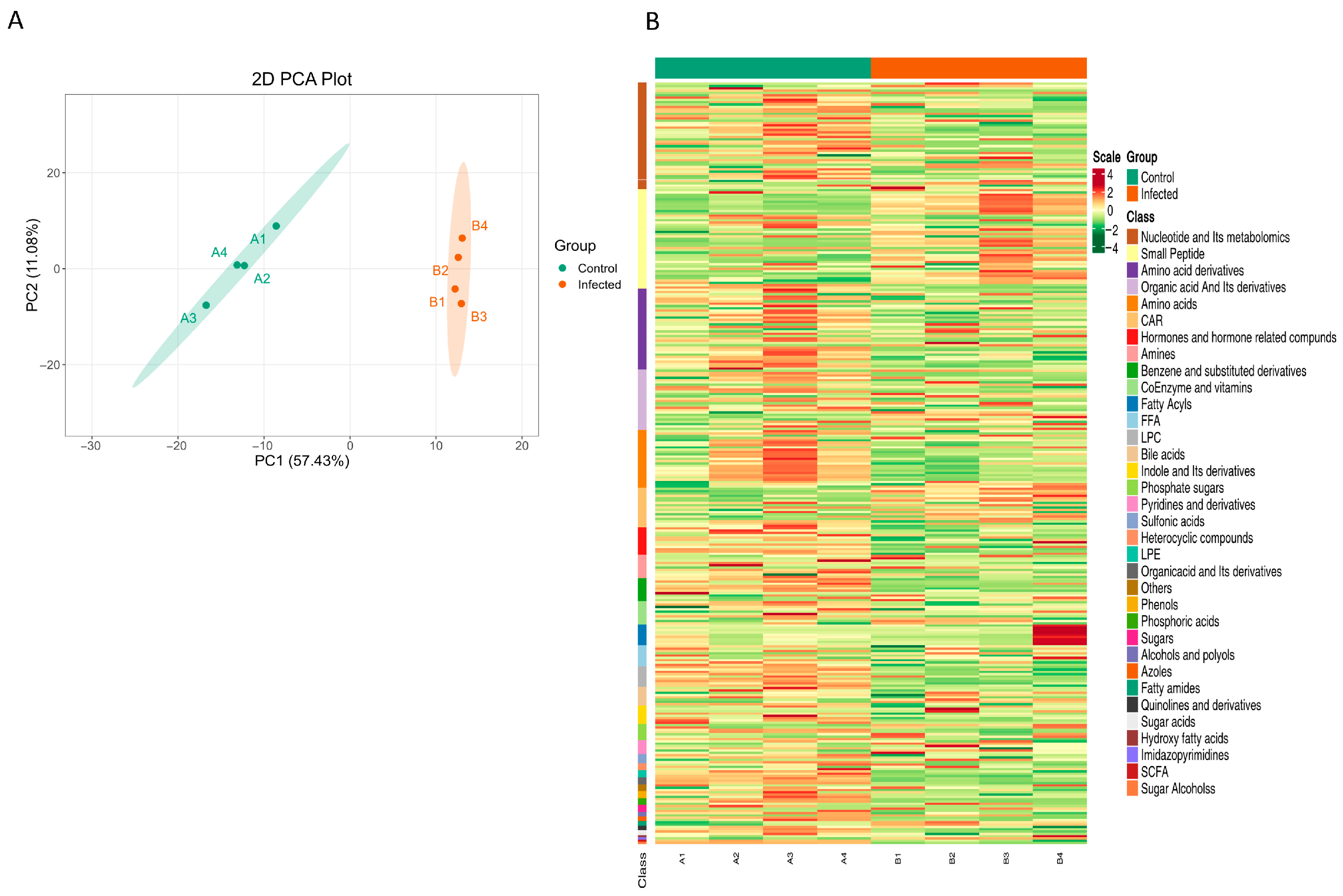Metabolites 15 00449 g001