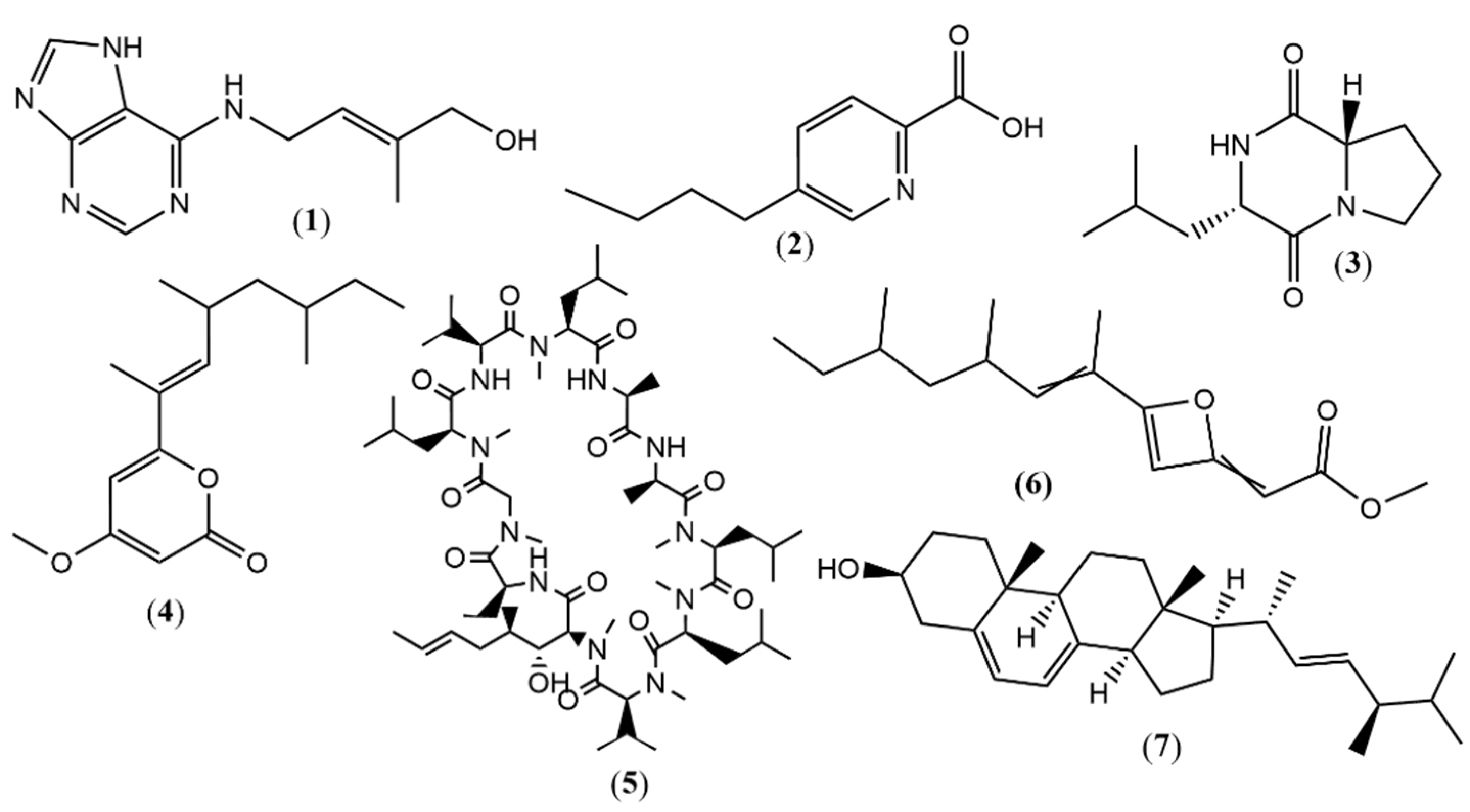 Metabolites 15 00451 g001