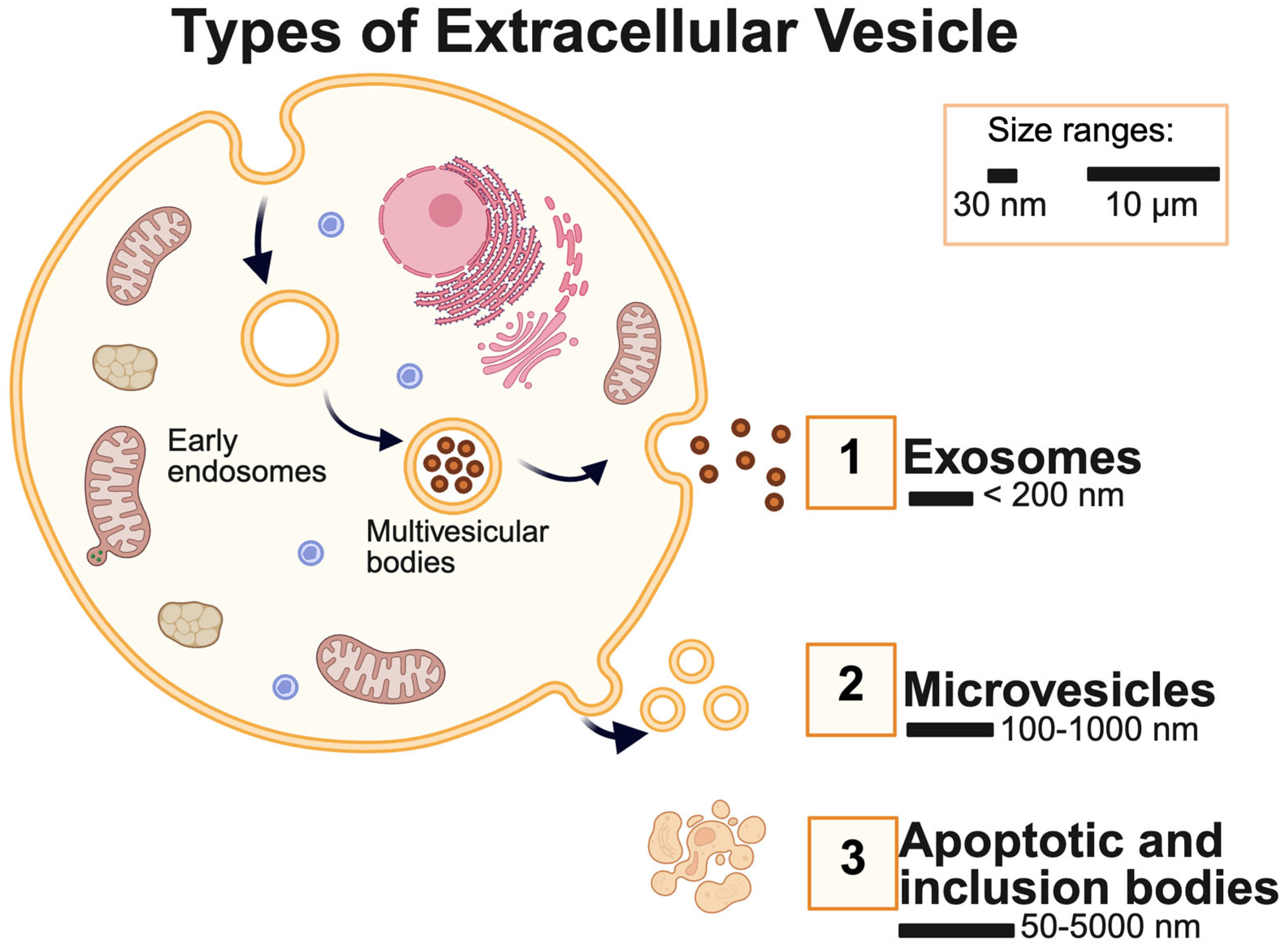 Metabolites 15 00454 g001