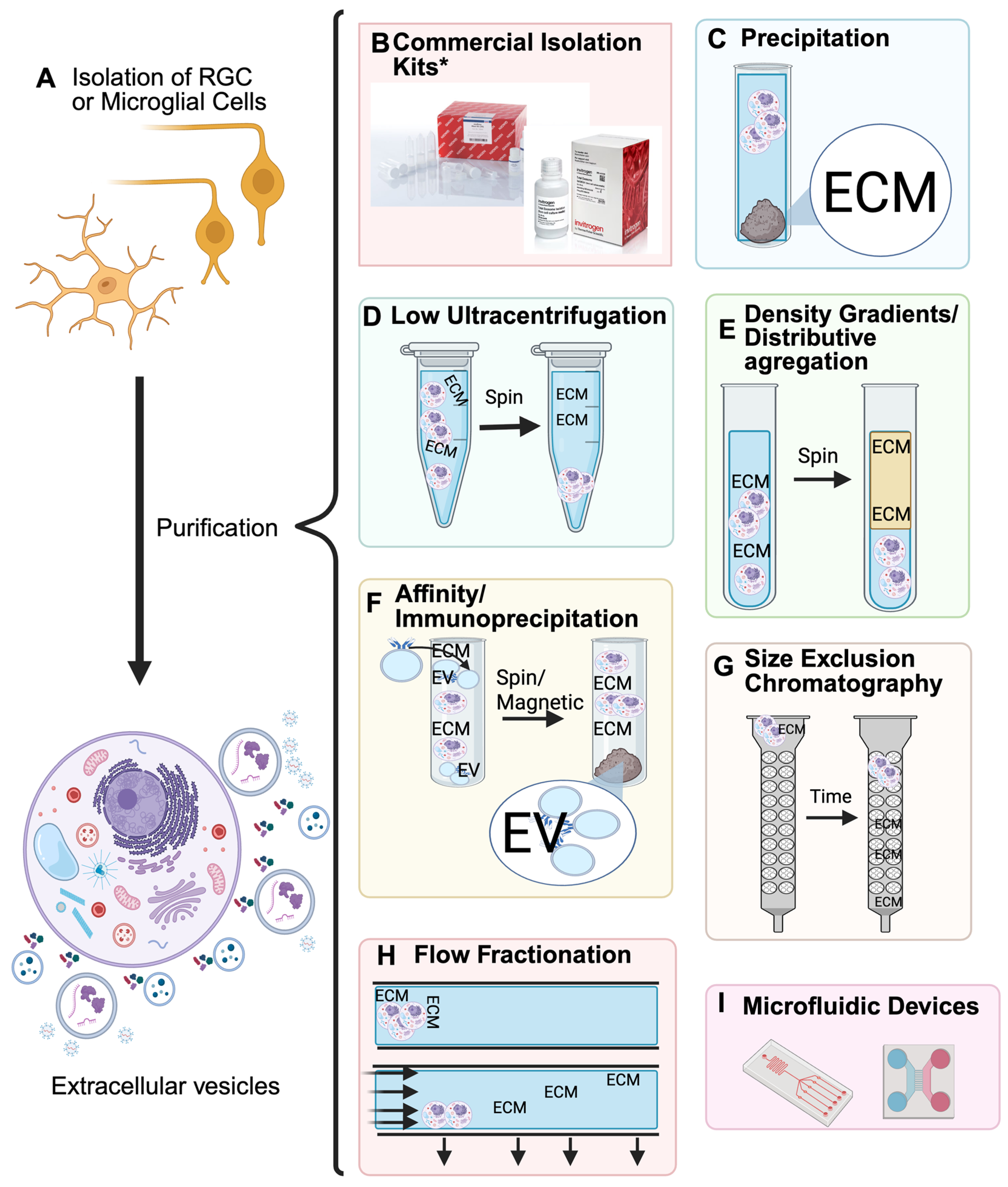 Metabolites 15 00454 g002