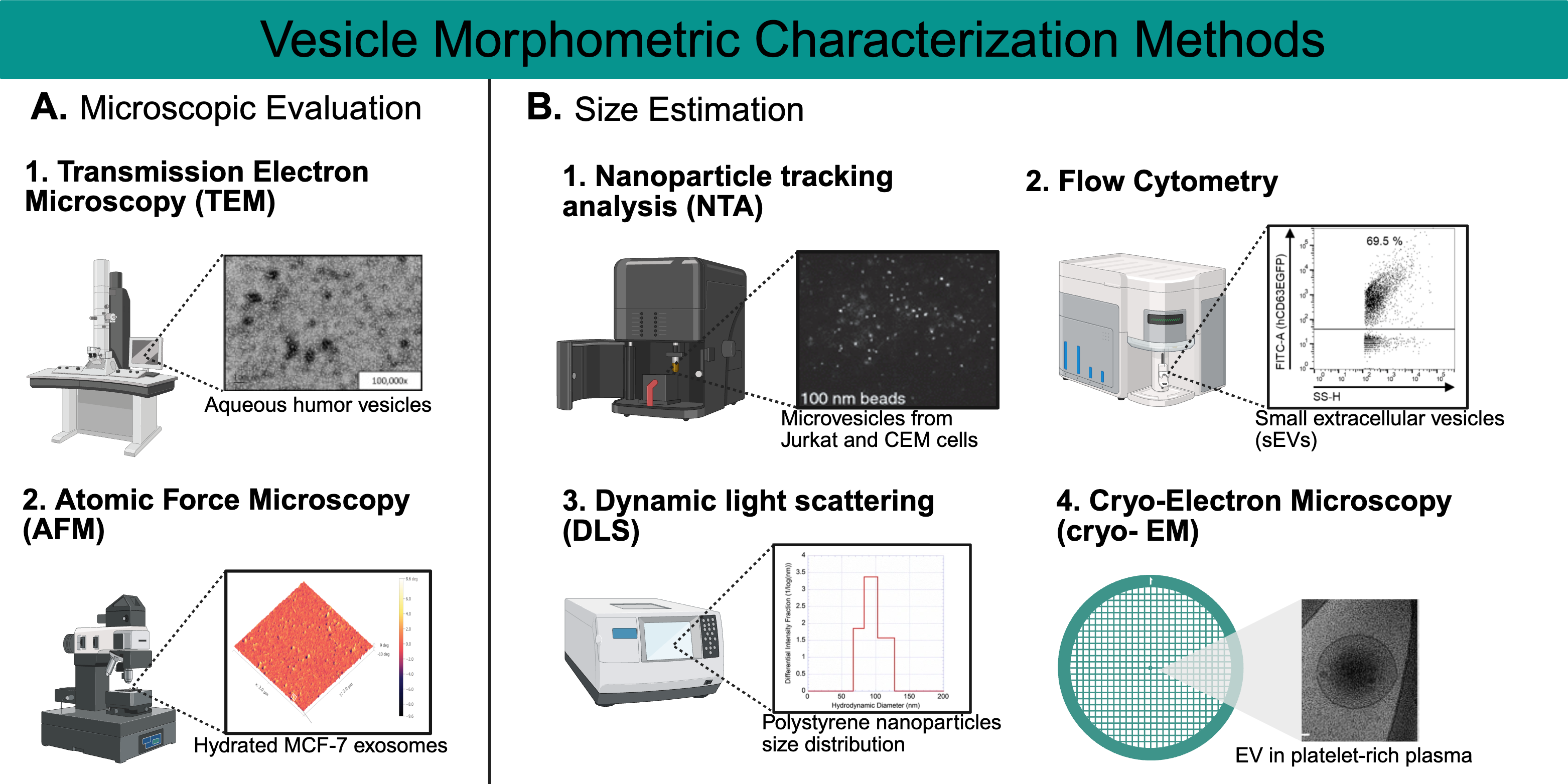 Metabolites 15 00454 g003
