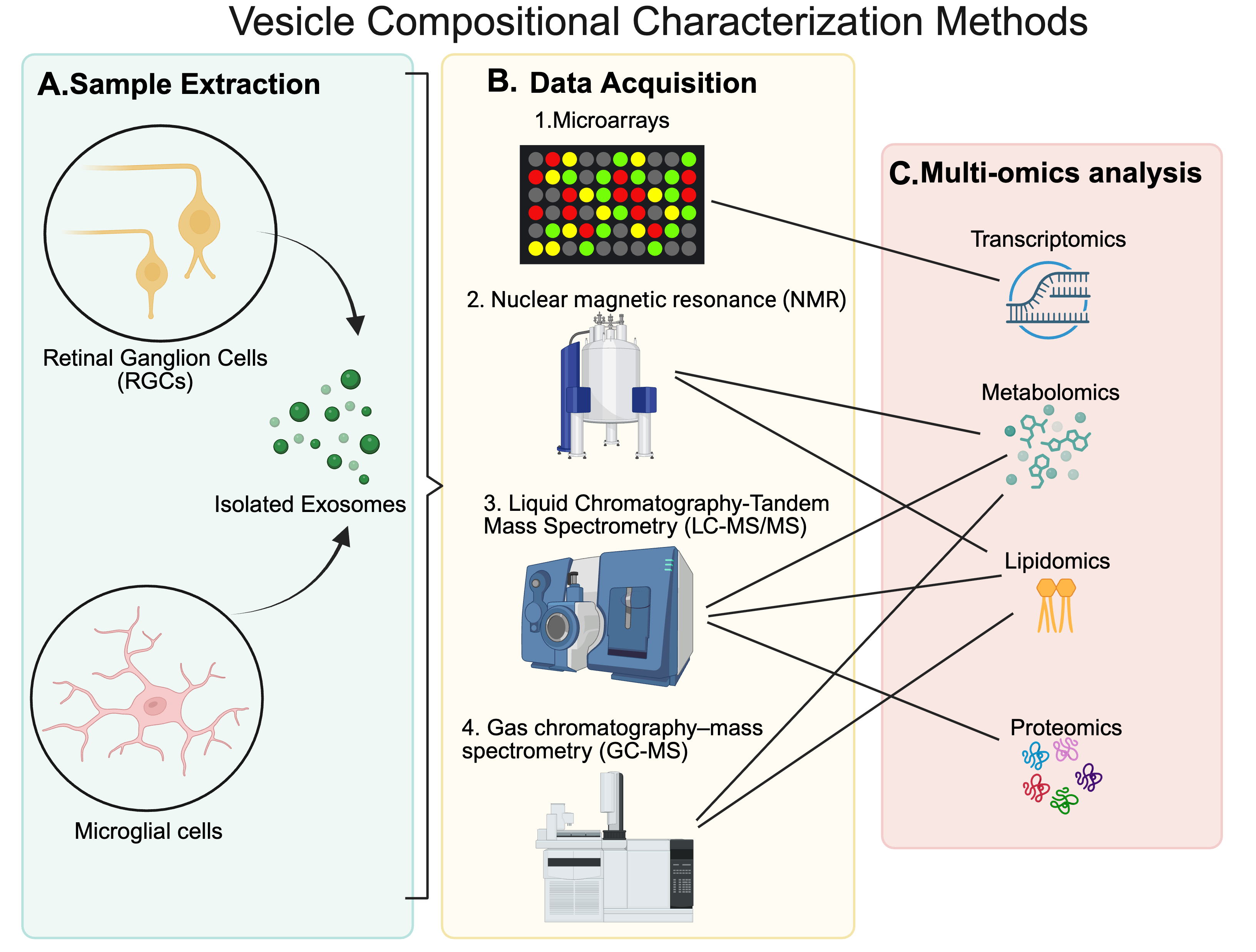 Metabolites 15 00454 g004
