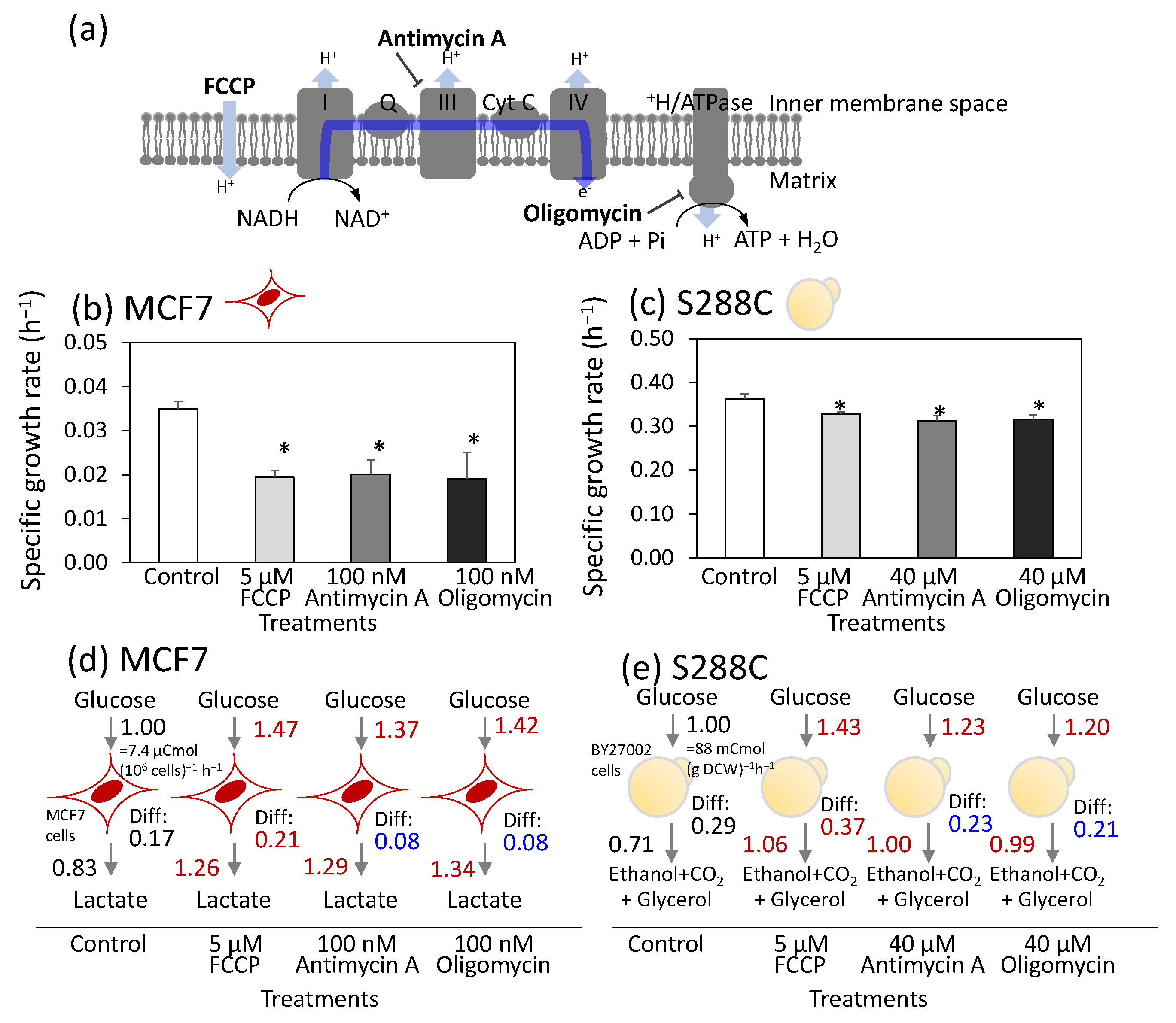 Metabolites 15 00461 g001
