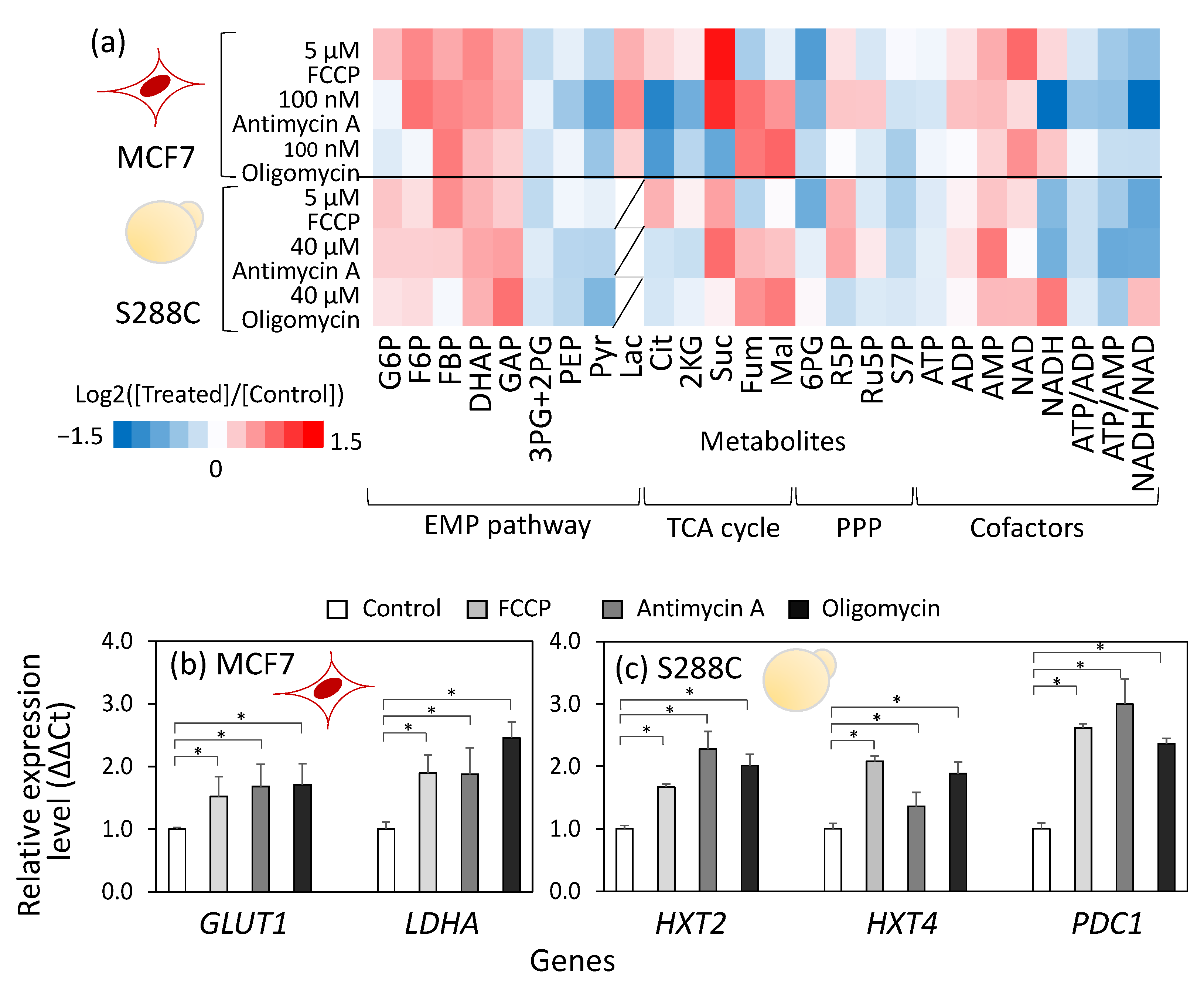 Metabolites 15 00461 g002