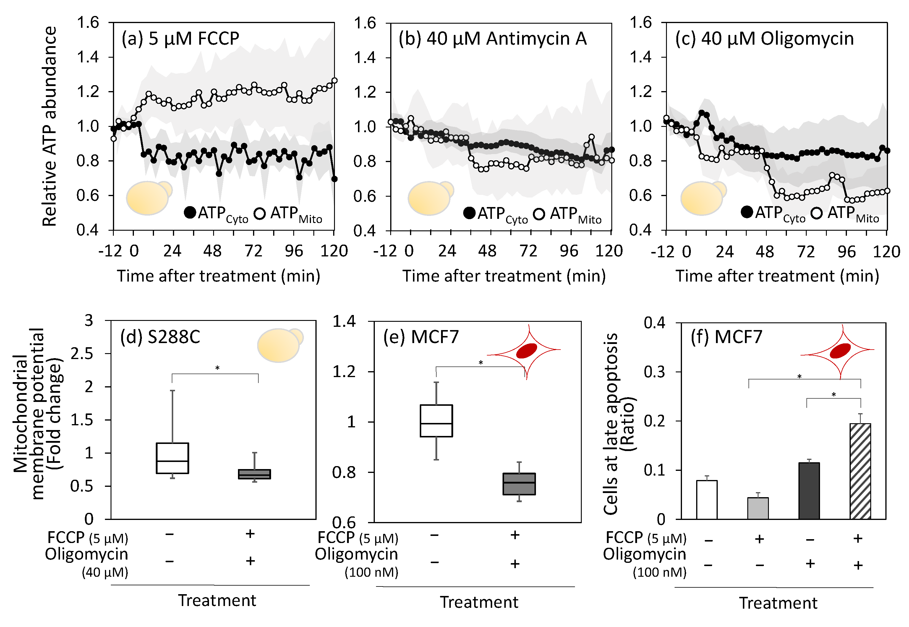 Metabolites 15 00461 g004