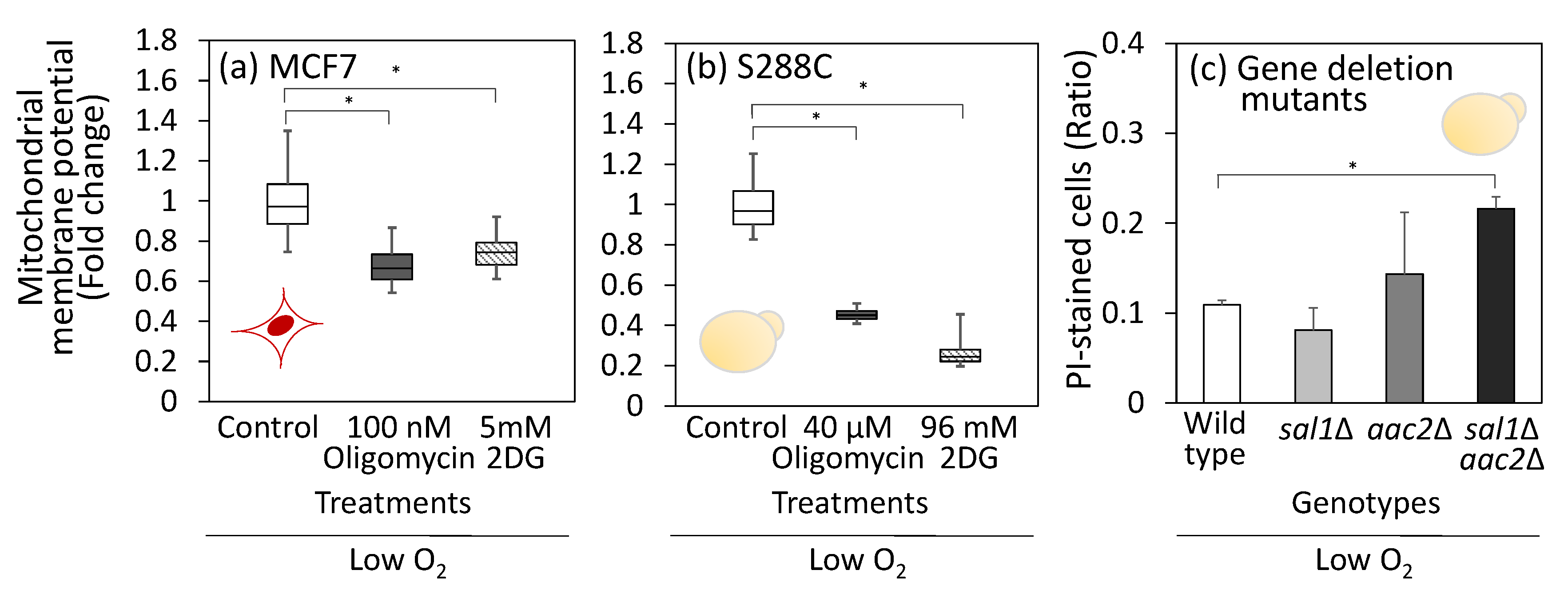 Metabolites 15 00461 g005