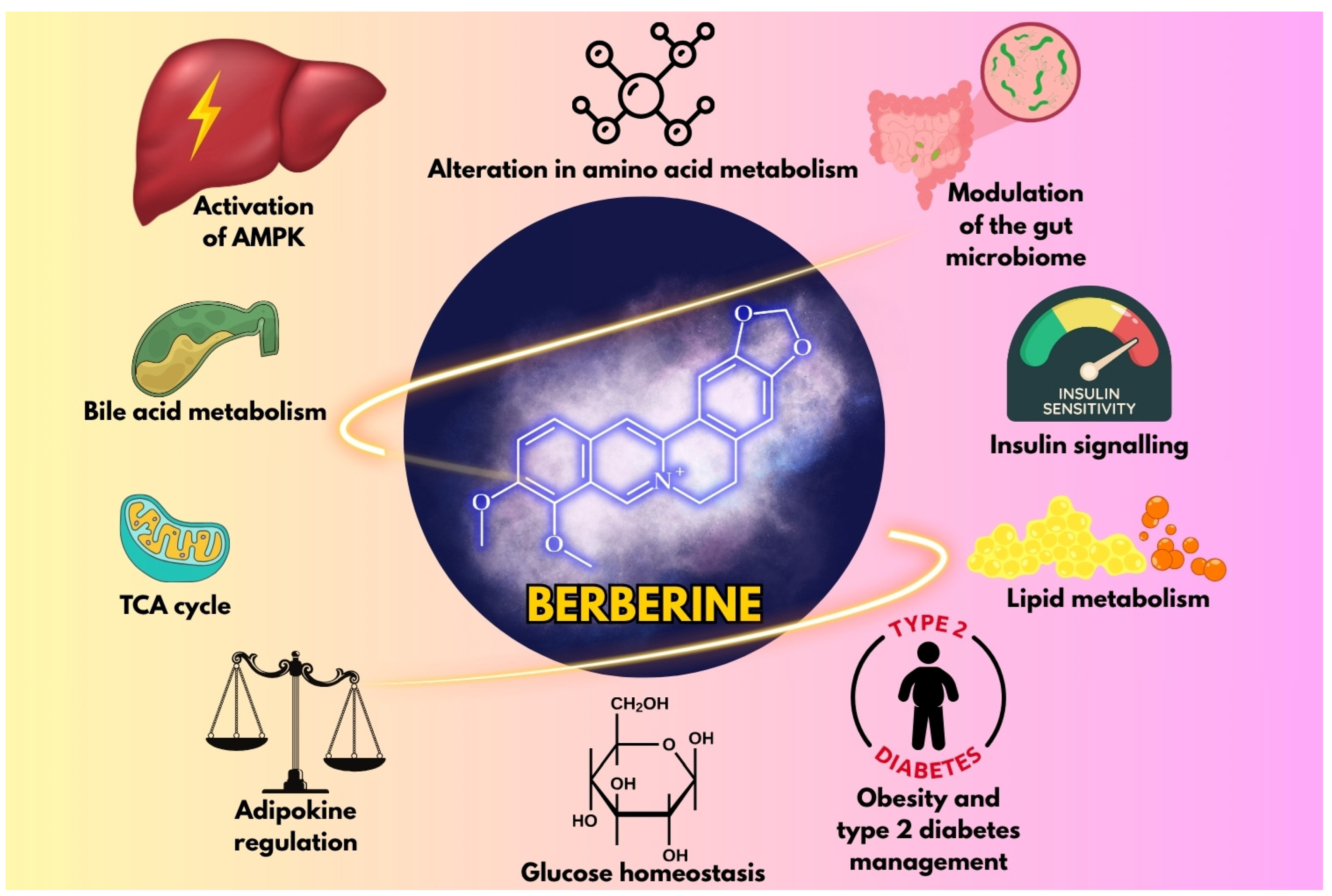 Metabolites 15 00467 g001