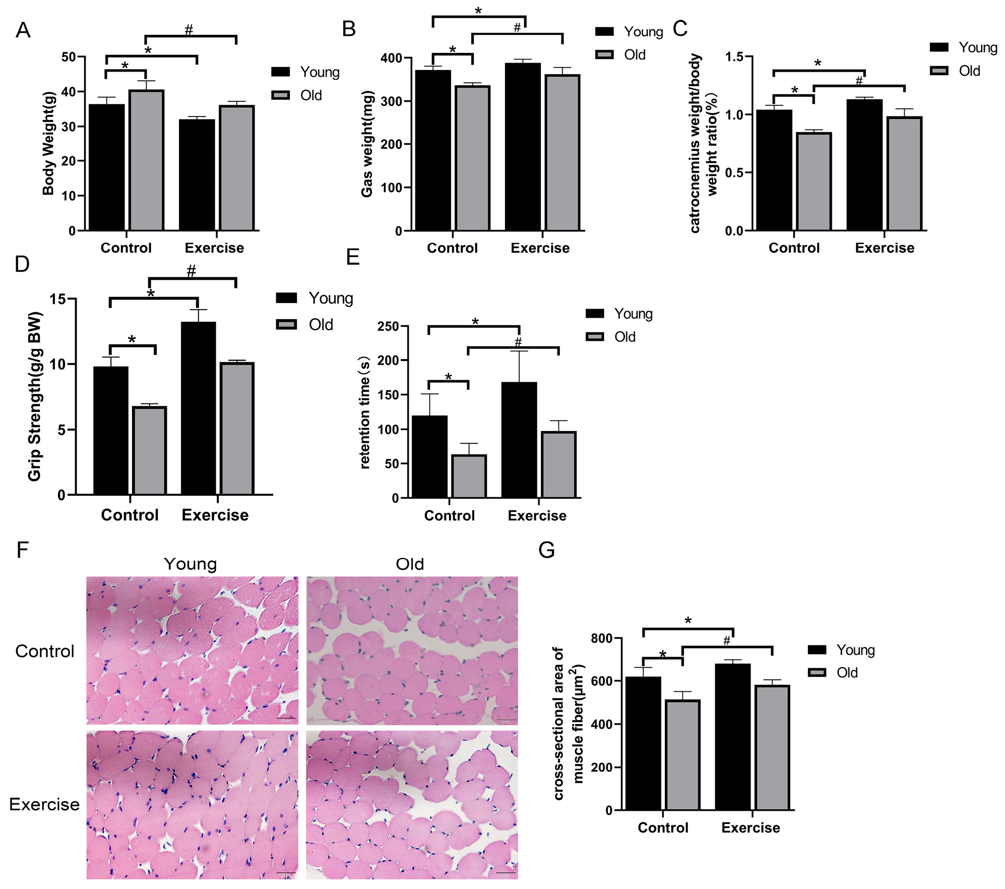 Metabolites 15 00472 g001