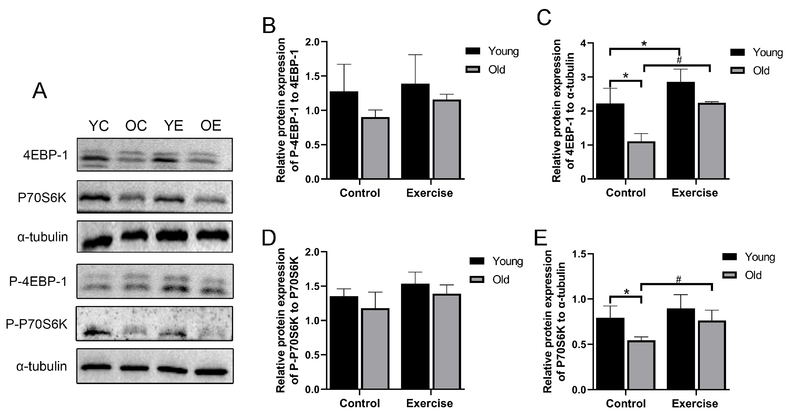 Metabolites 15 00472 g002