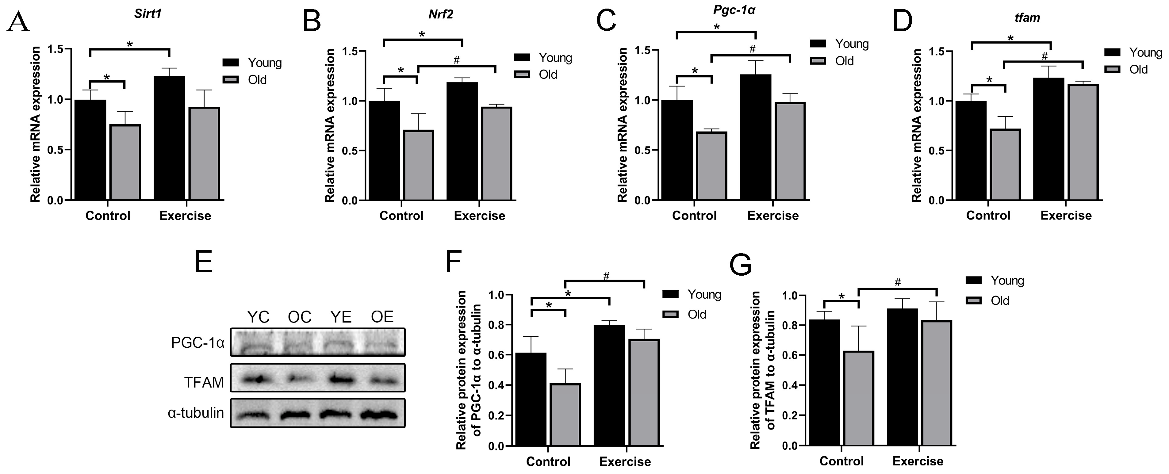 Metabolites 15 00472 g004