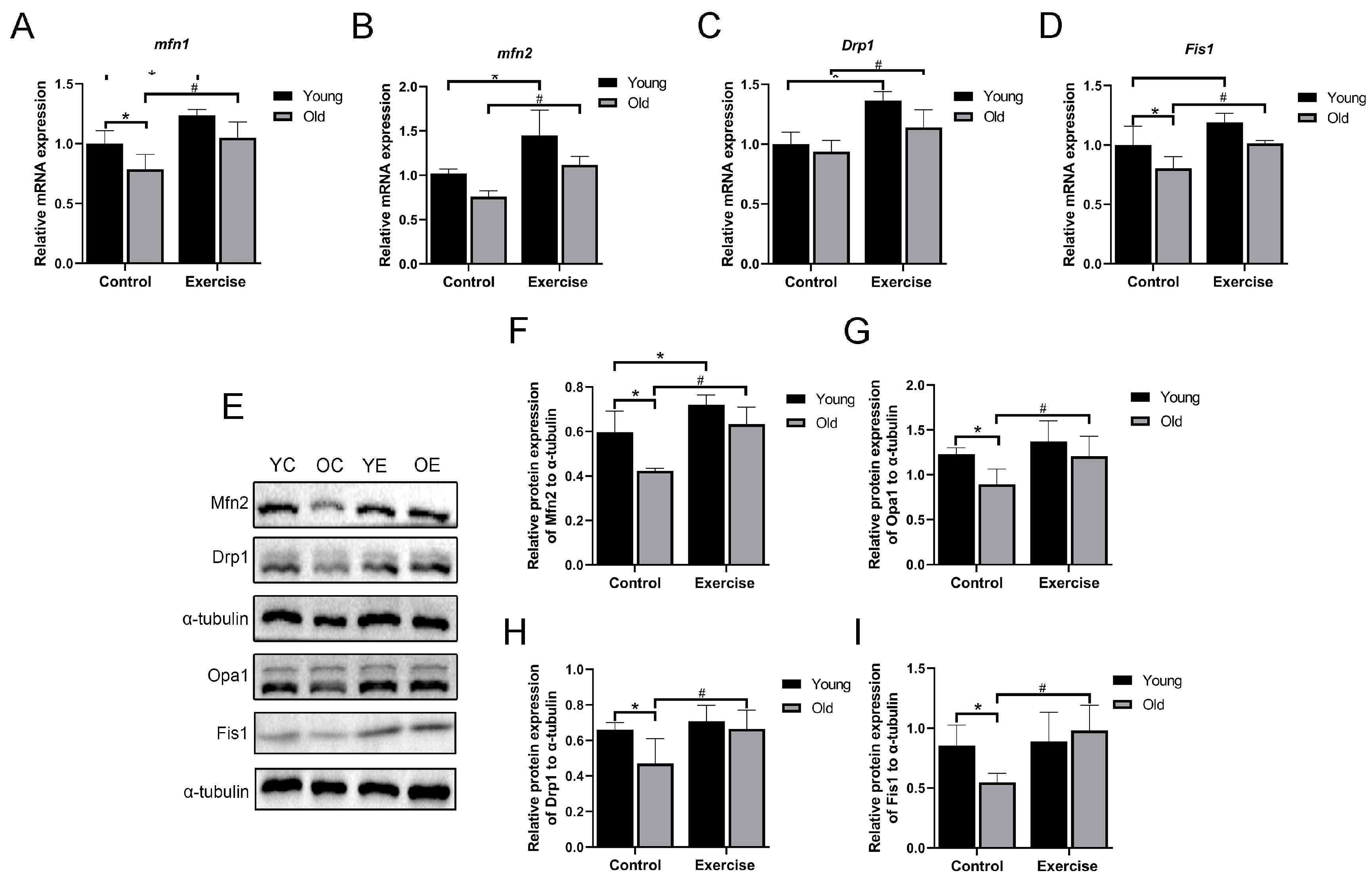 Metabolites 15 00472 g005