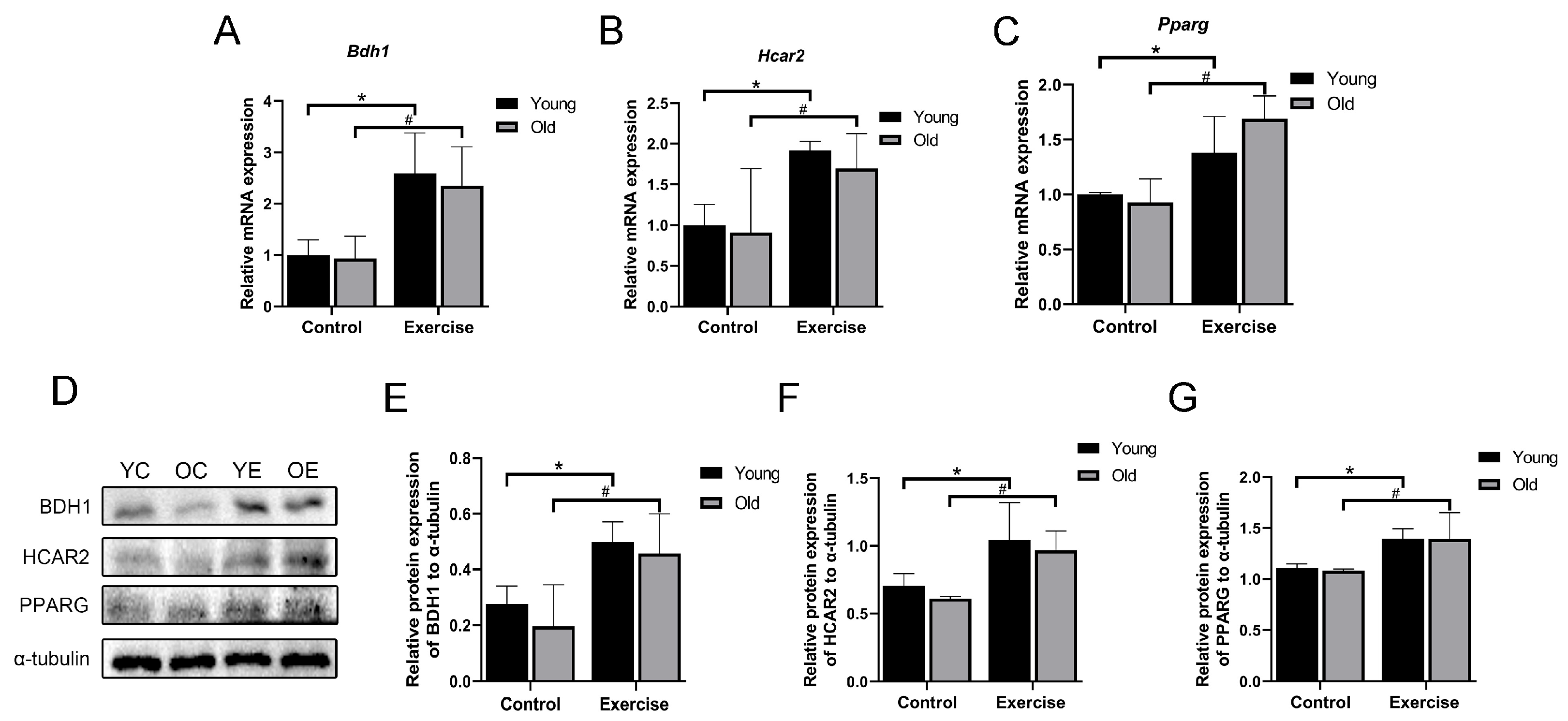 Metabolites 15 00472 g007