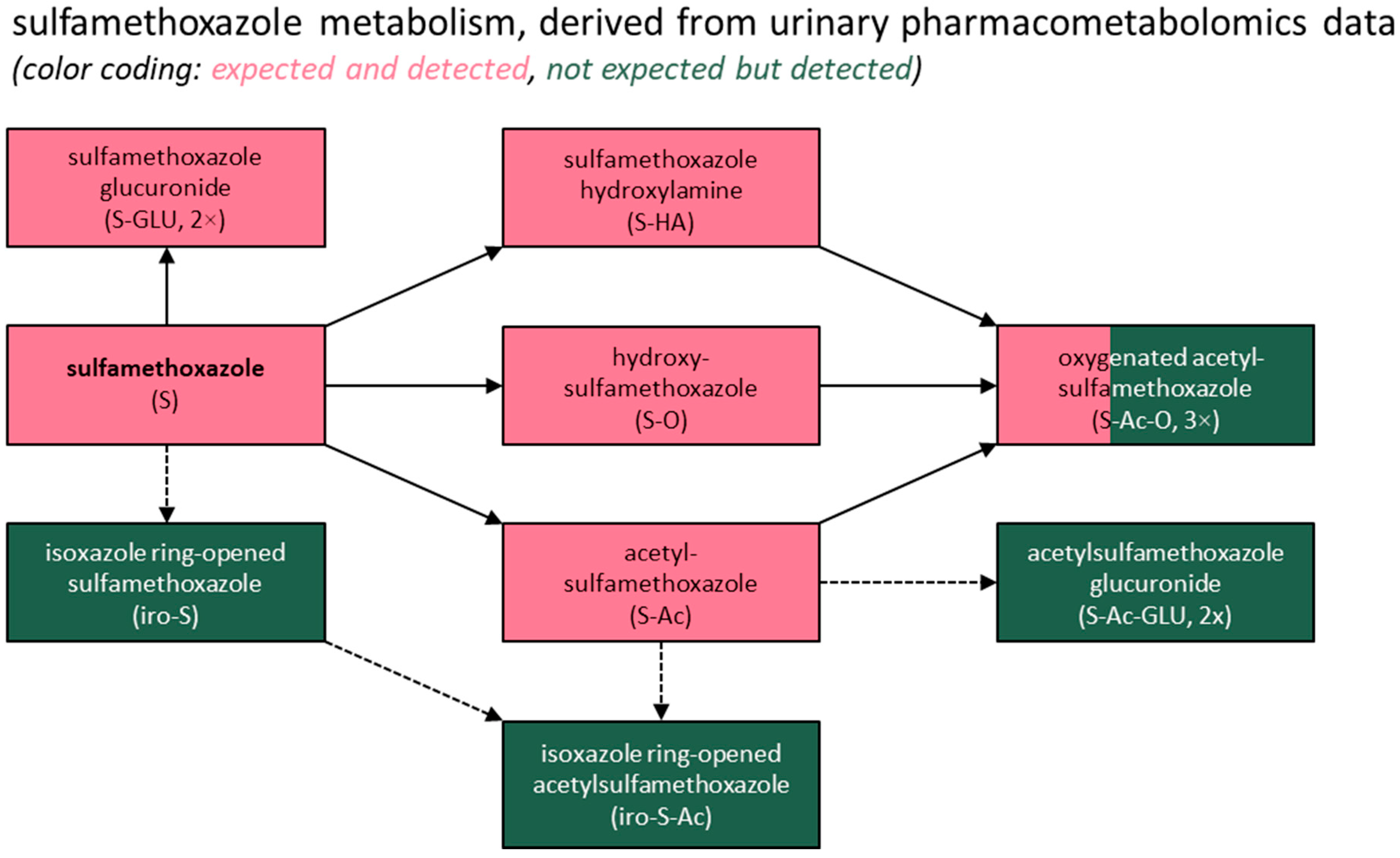 Metabolites 15 00473 g002