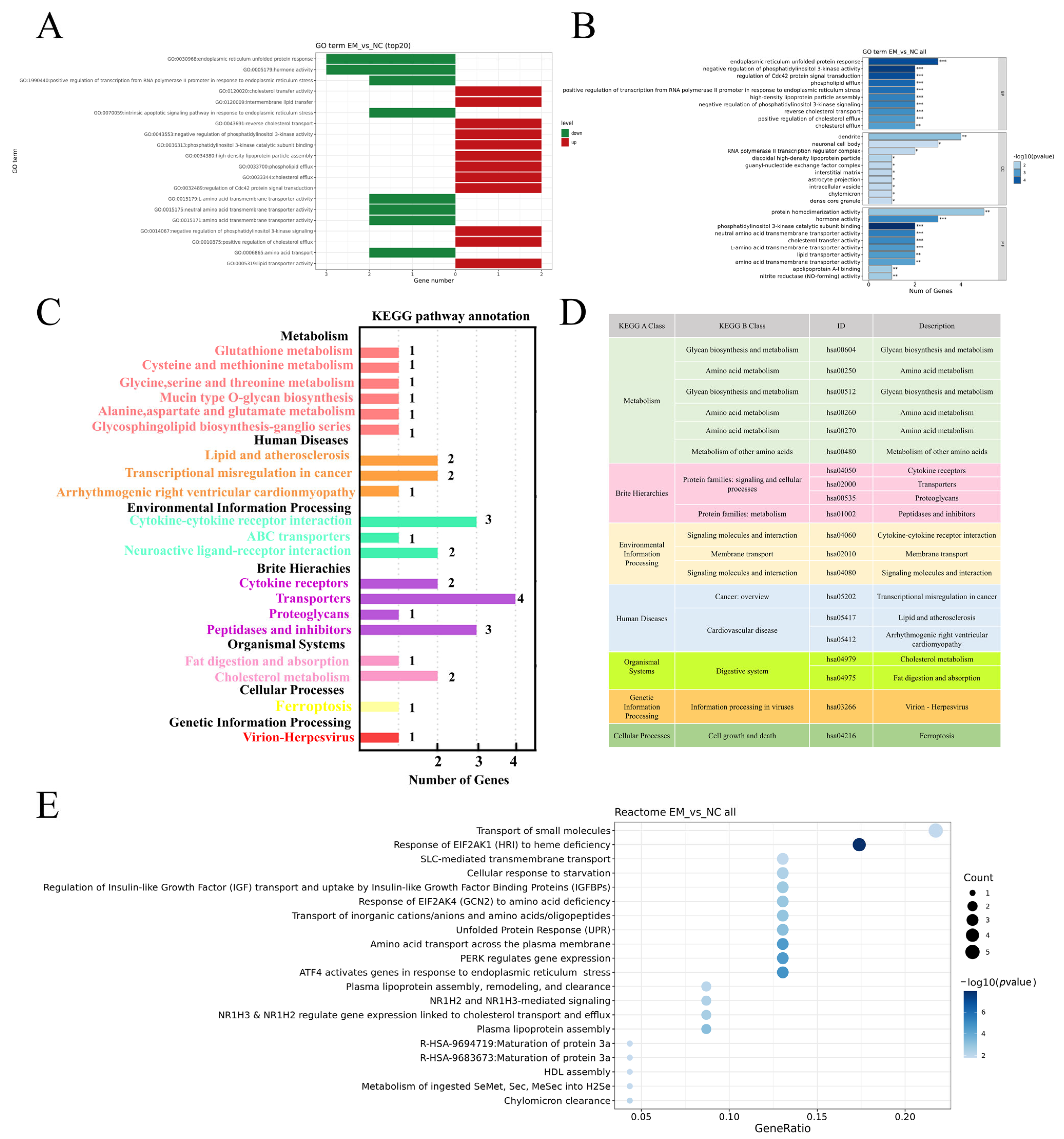 Metabolites 15 00476 g004