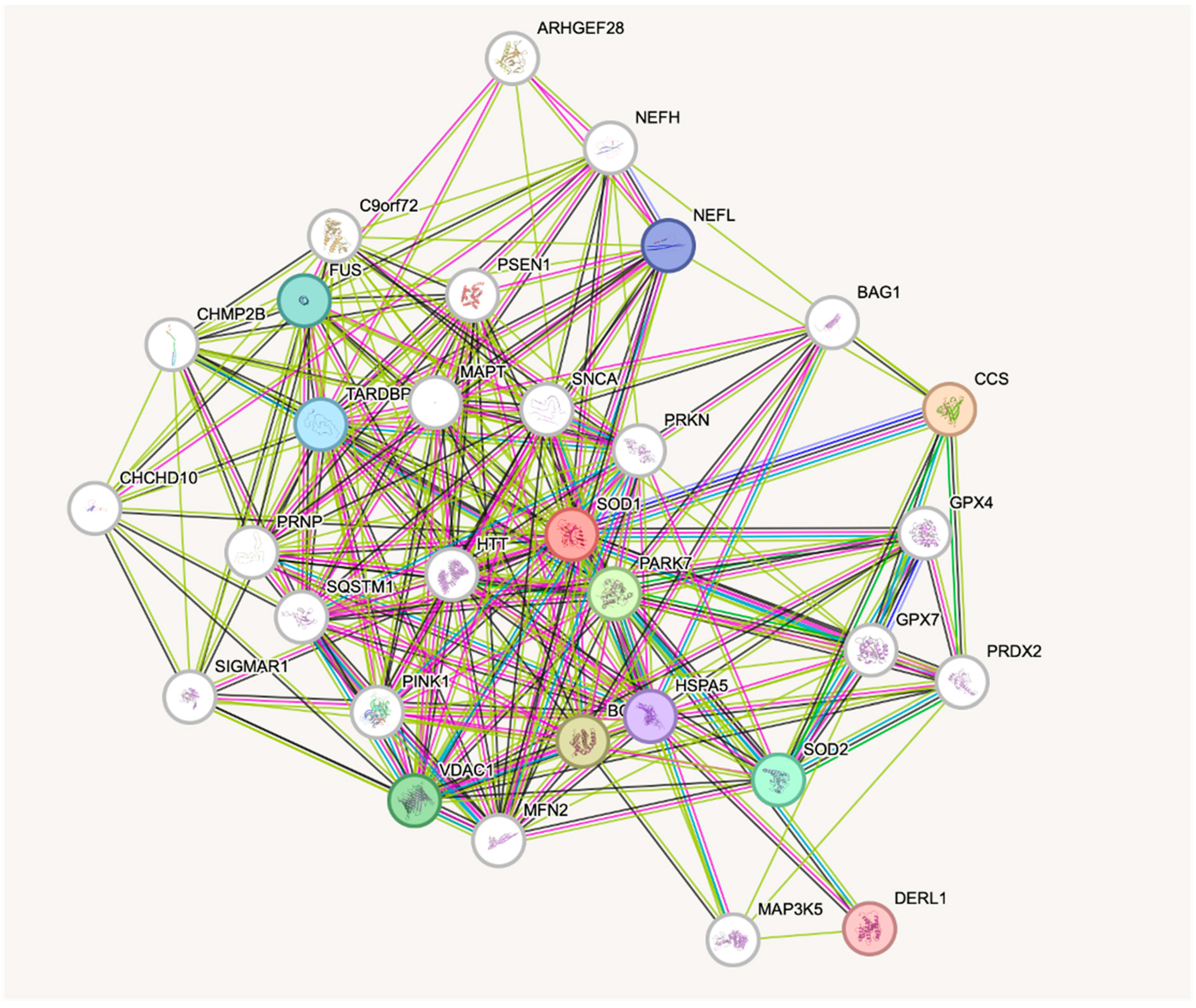 ショウ The Complexity of Oxidative Stress in Human Age-Related