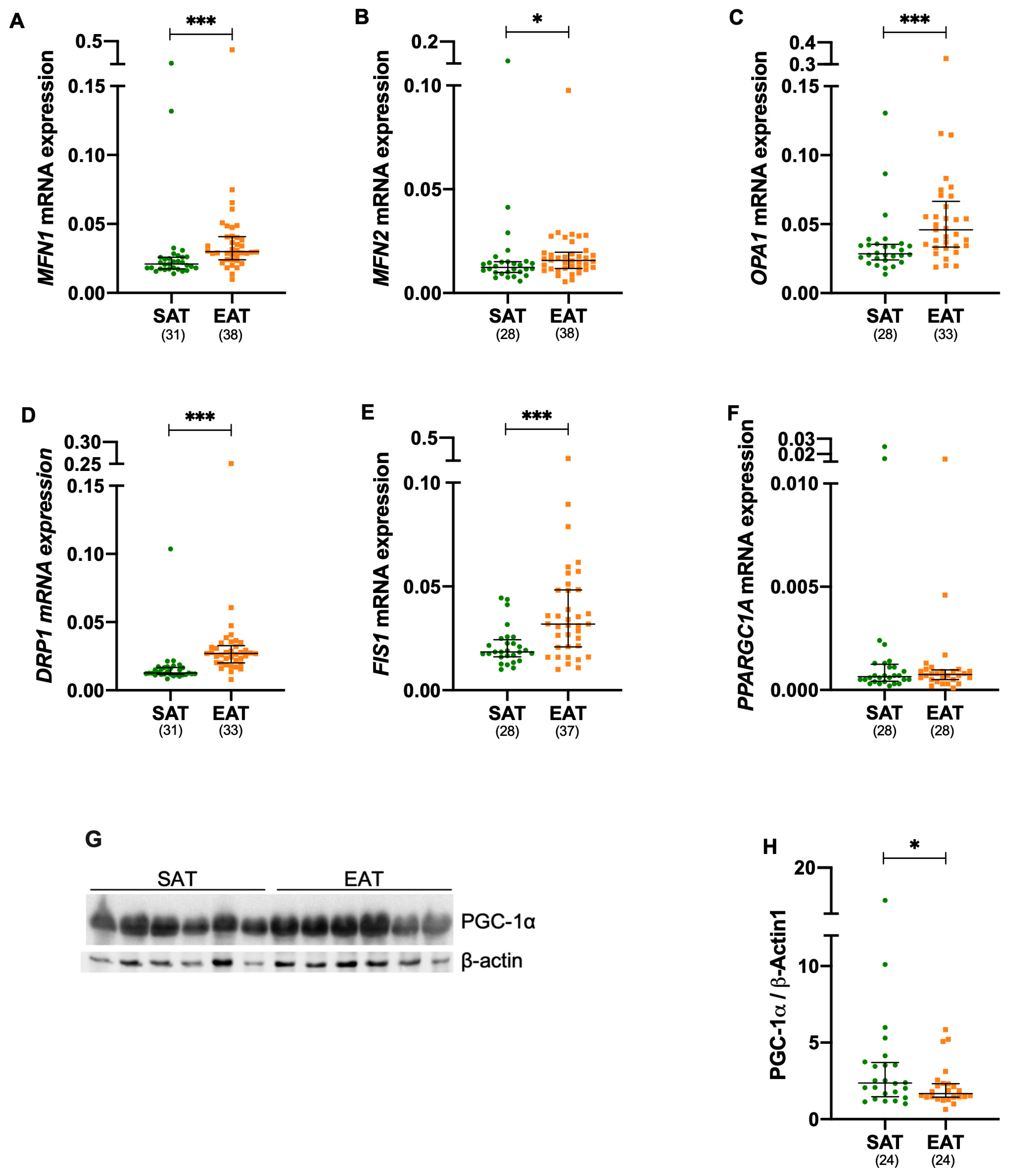 Metabolites 15 00481 g001