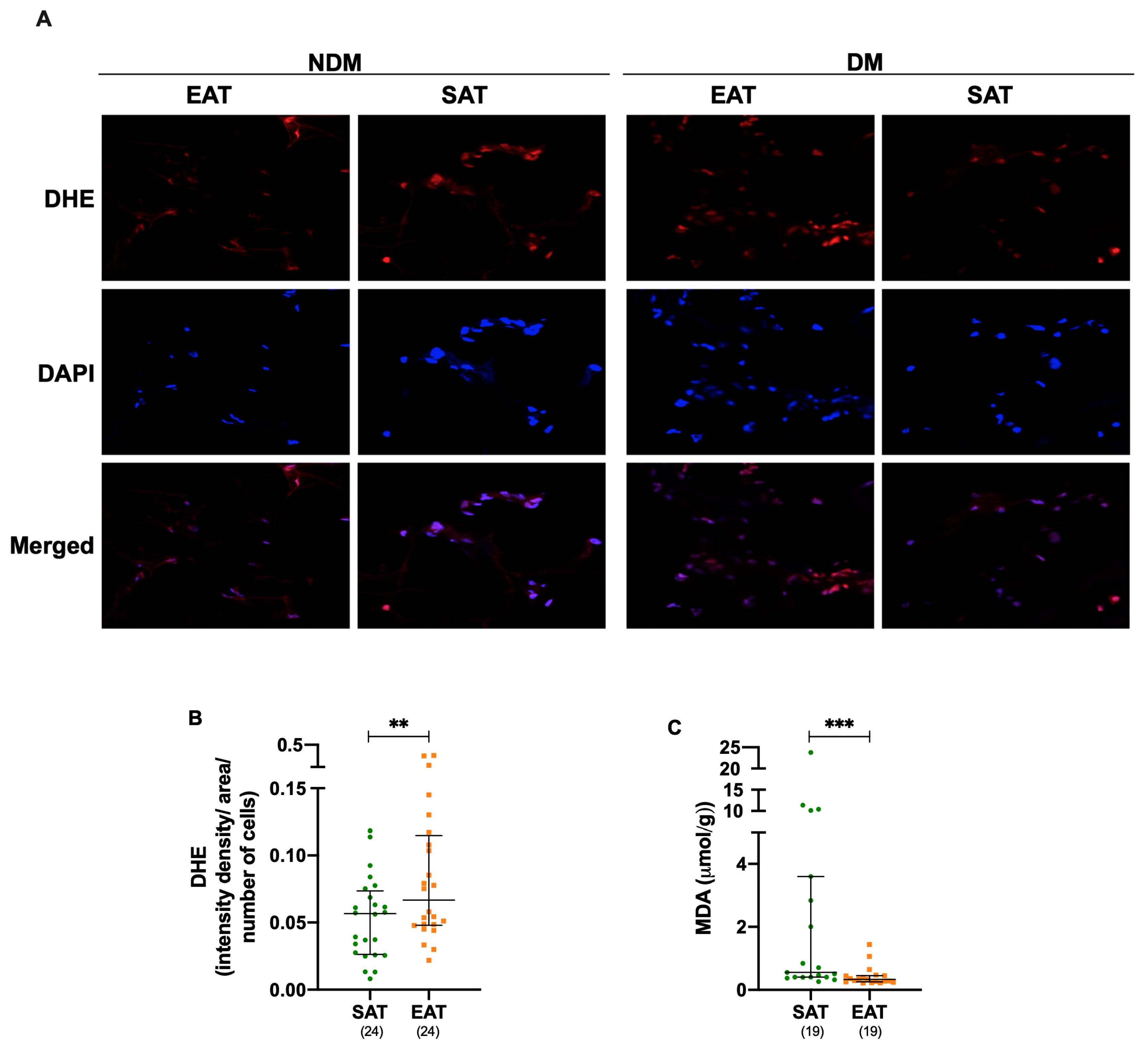 Metabolites 15 00481 g002